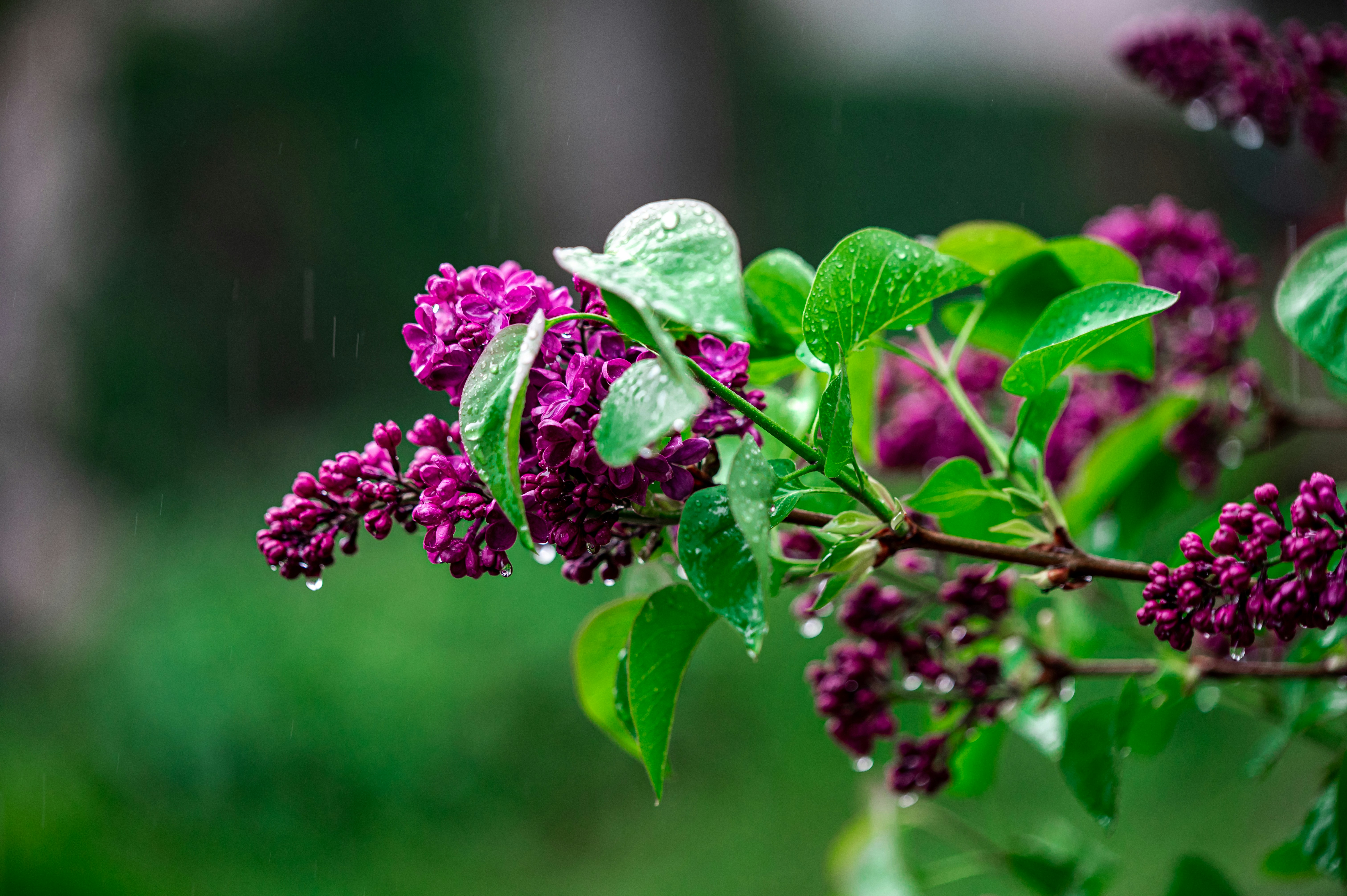 Photo by andreasbrun