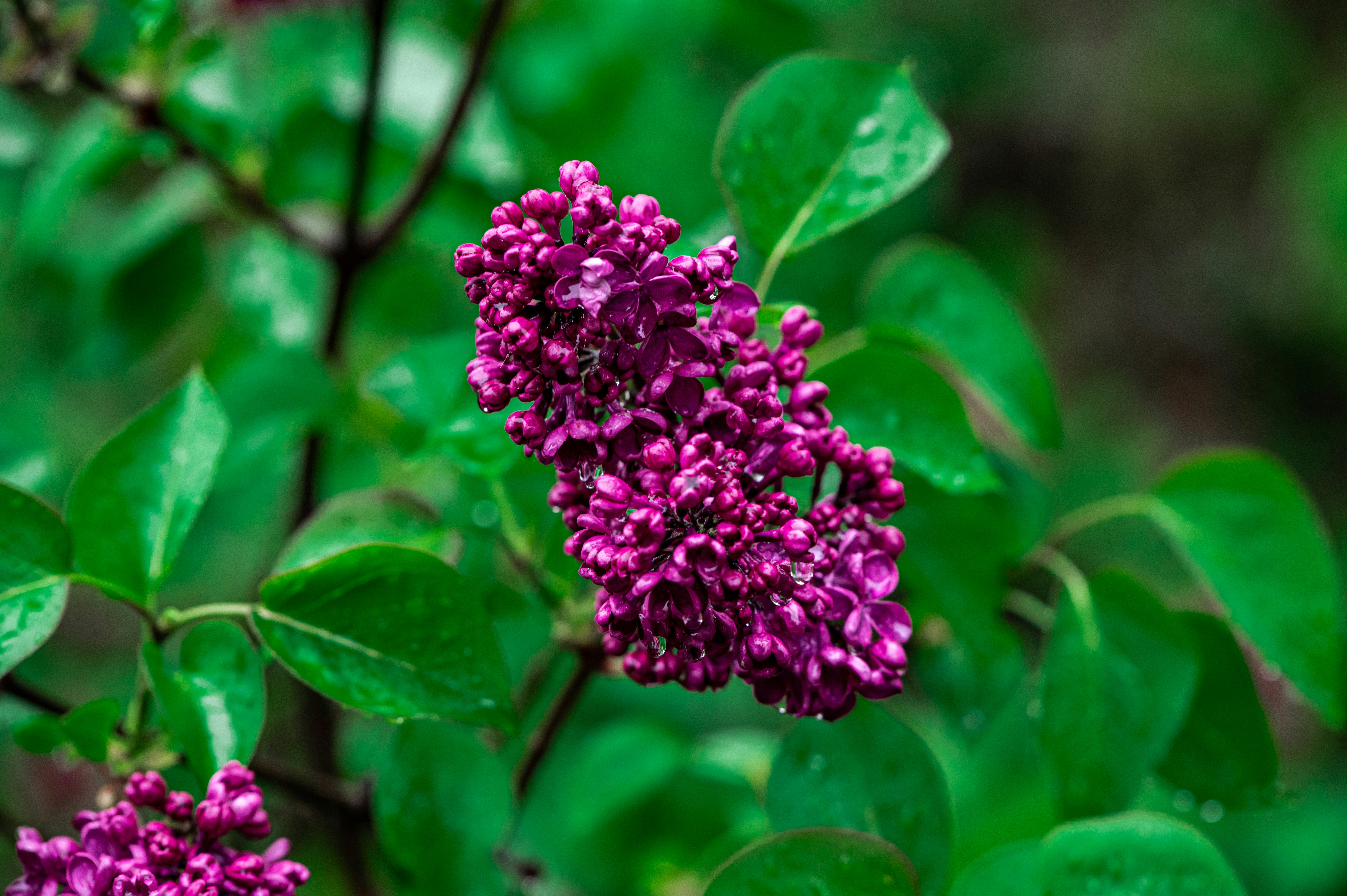 Photo by andreasbrun