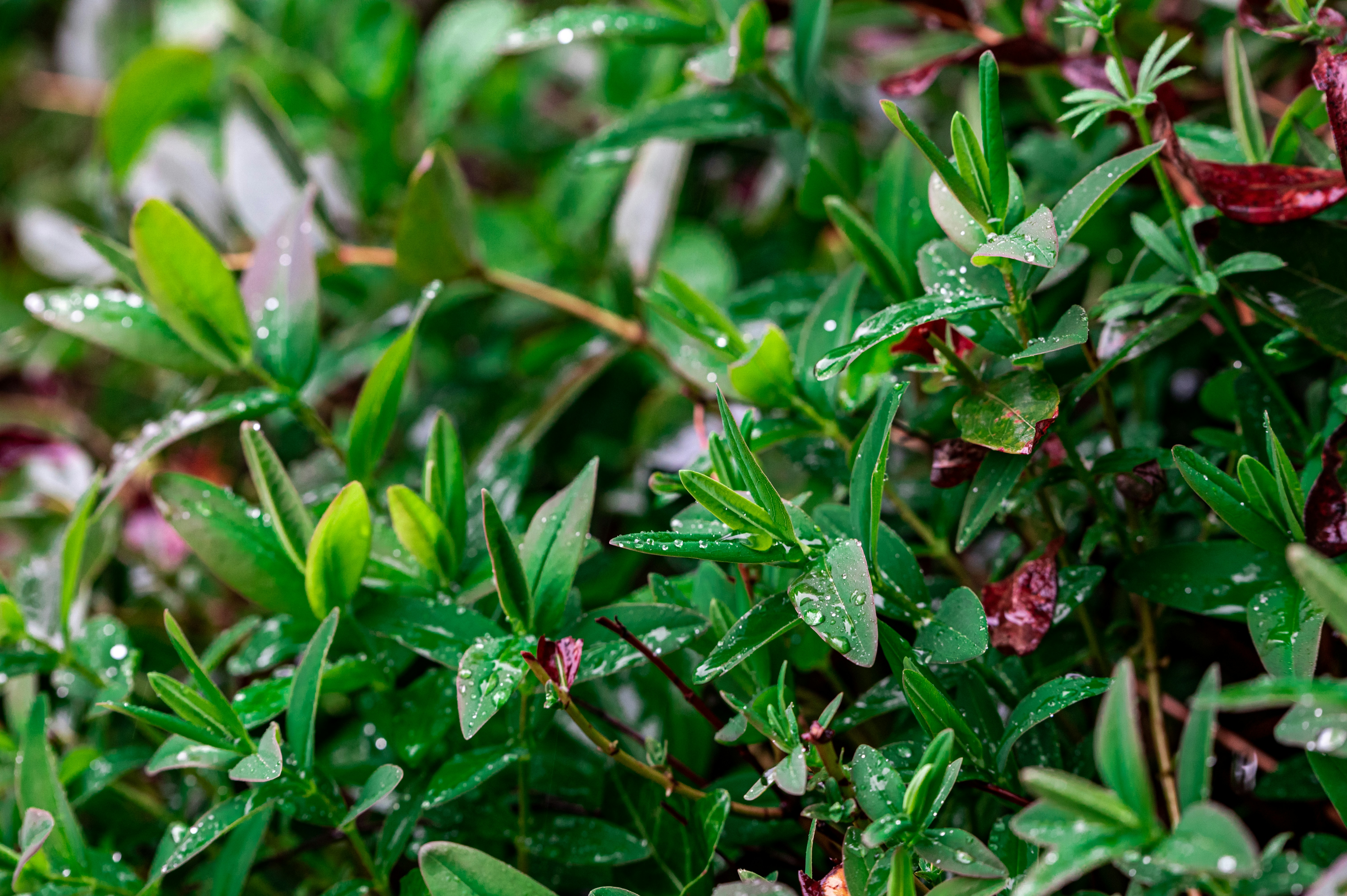 Photo by andreasbrun