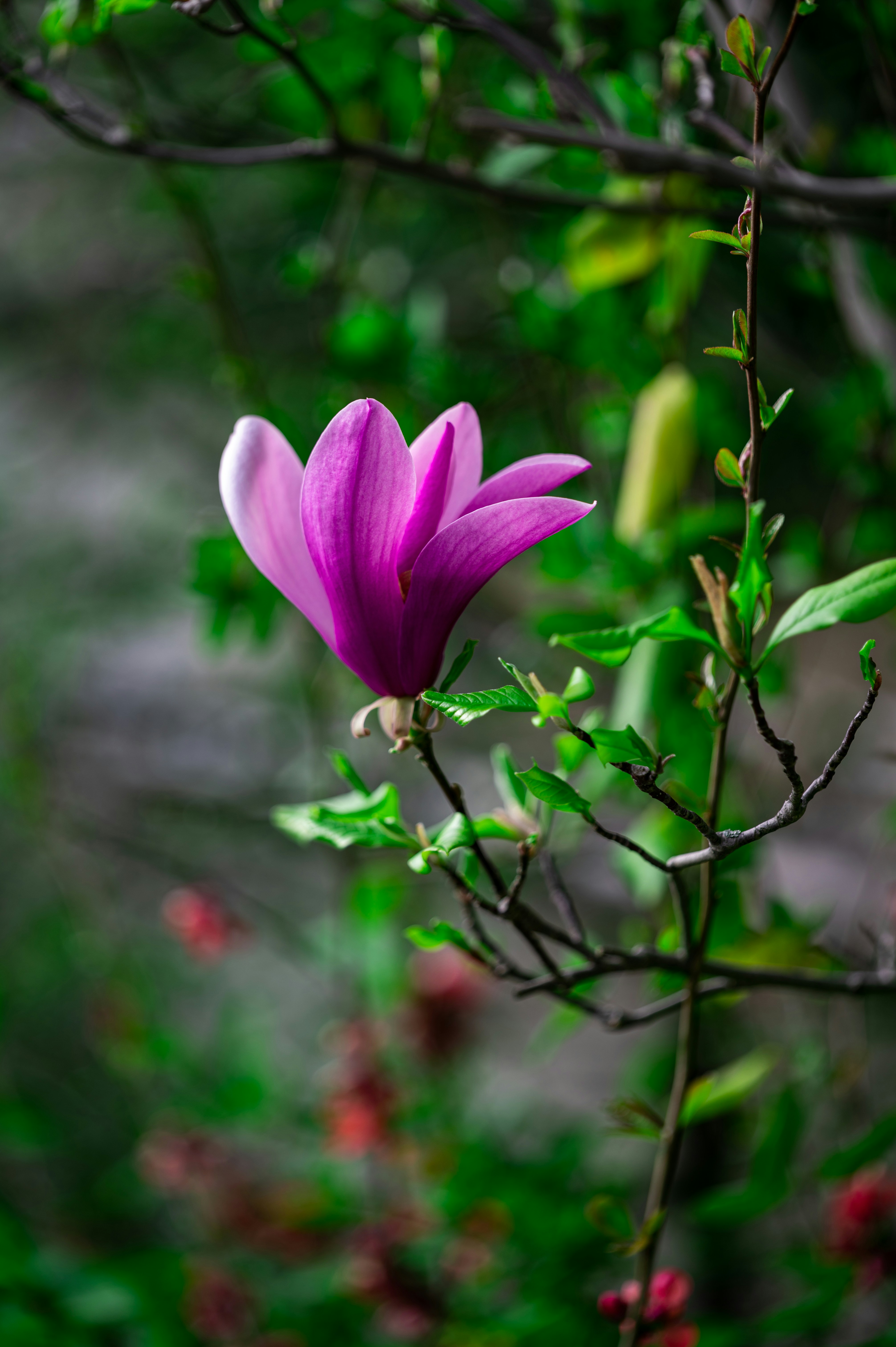 Photo by andreasbrun