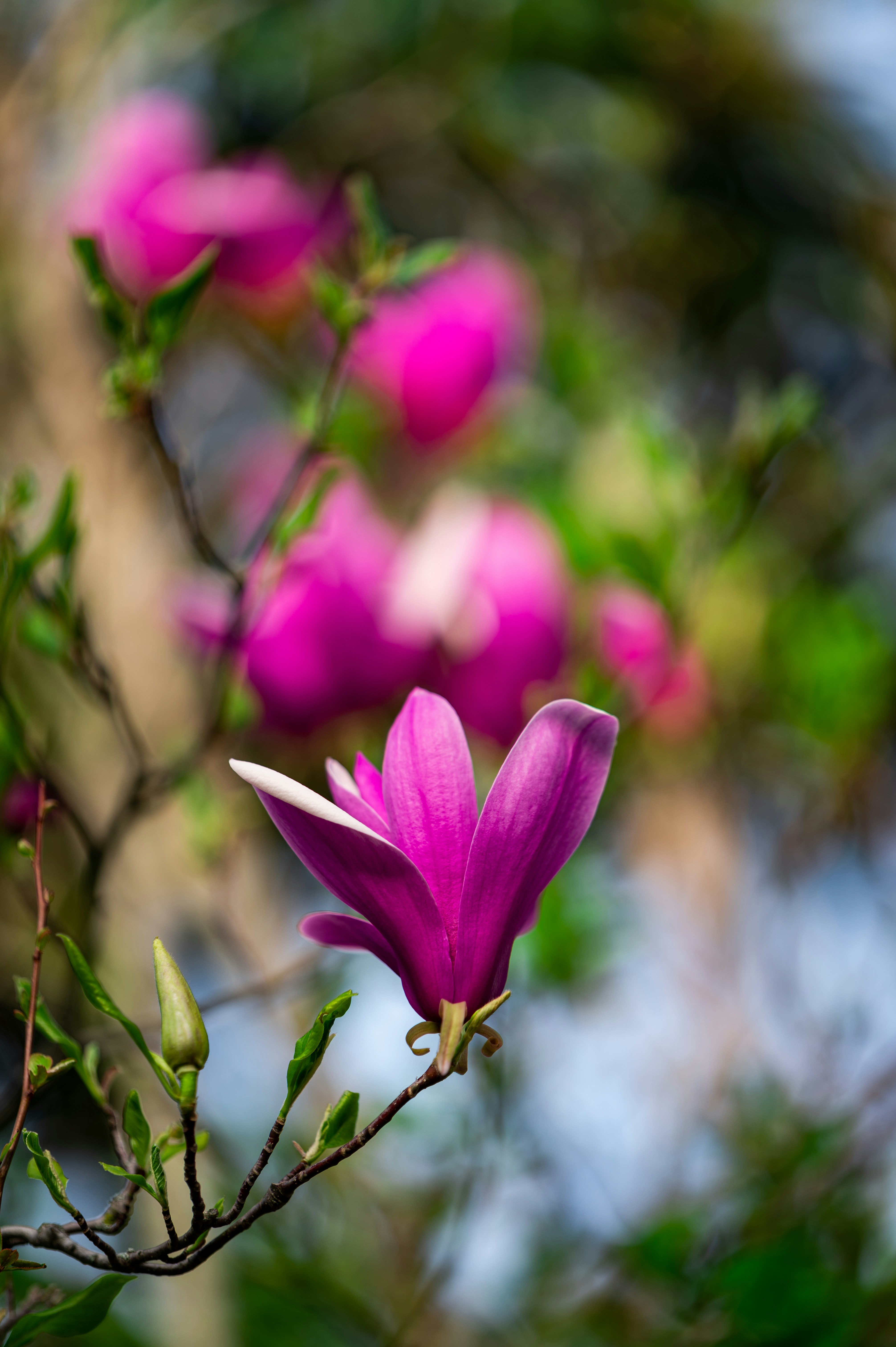 Photo by andreasbrun