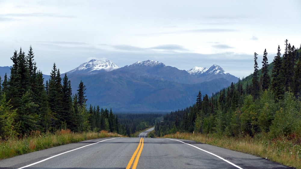 gray concrete road near green trees and mountains during daytime