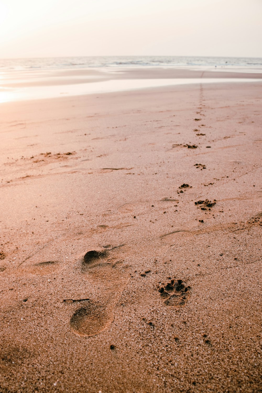 empreintes de pas sur le sable pendant la journée