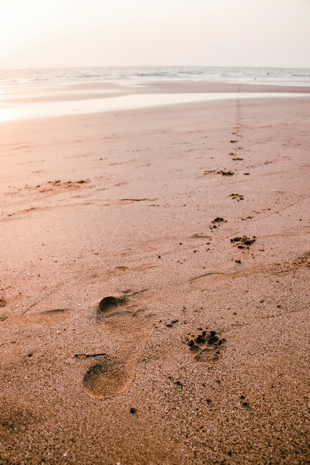Fußabdrücke auf dem Sand tagsüber