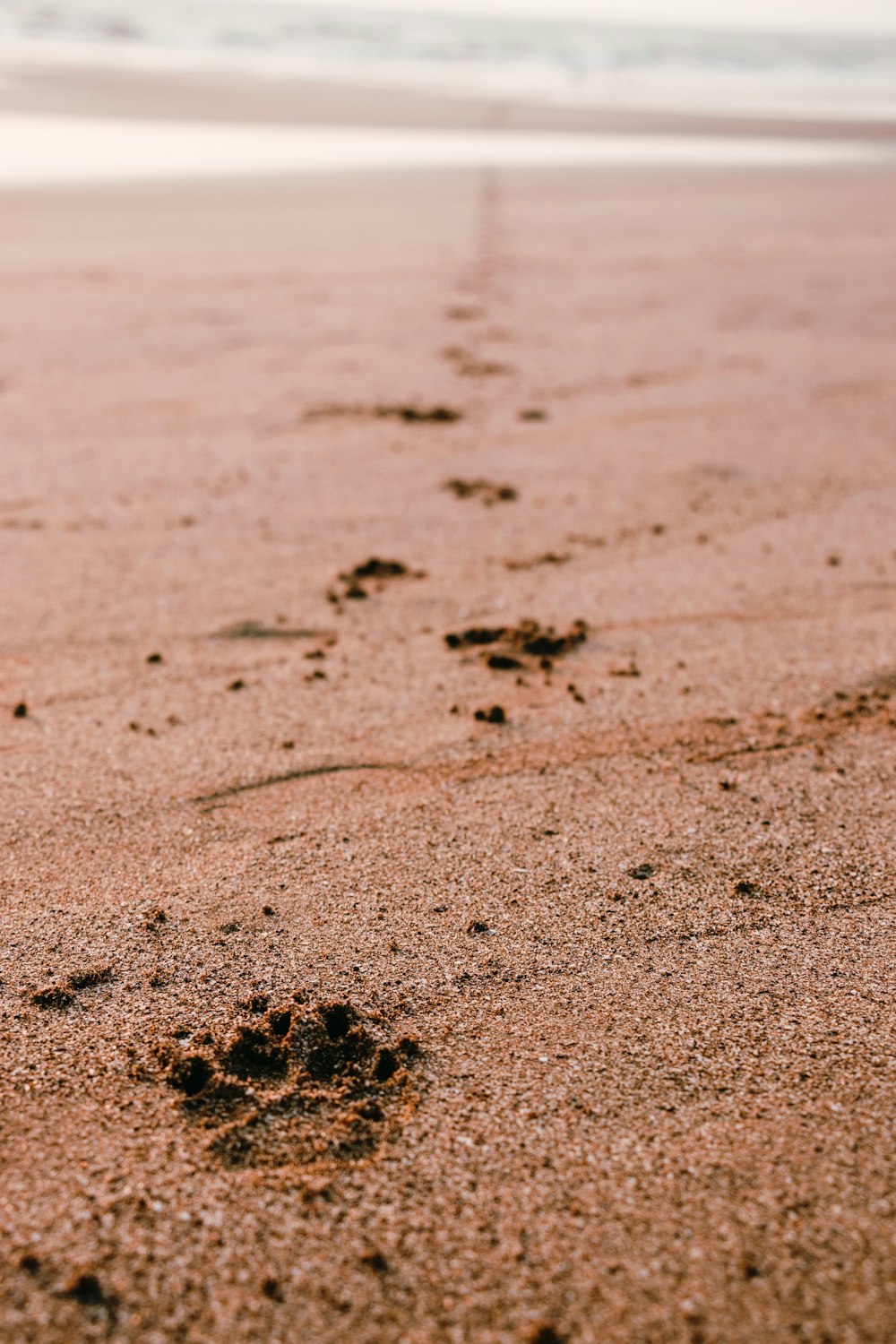 brown sand with footprints during daytime