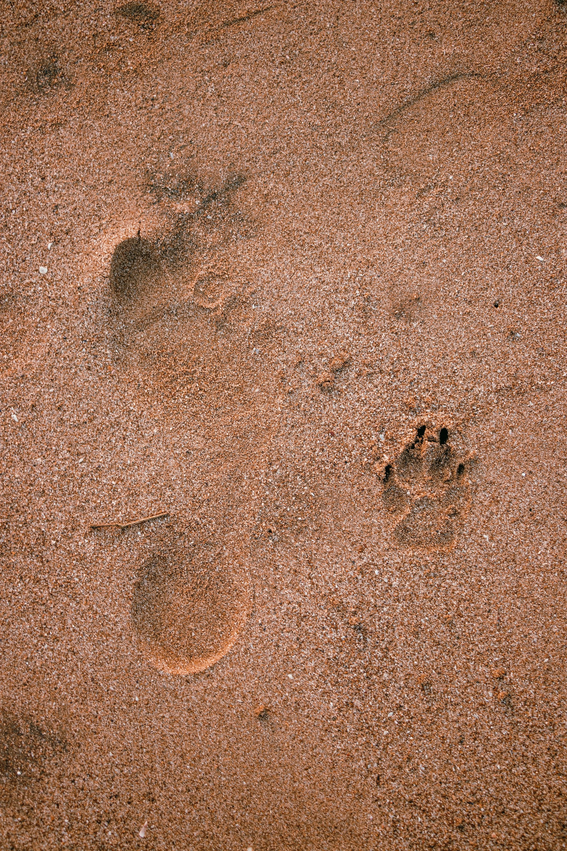 footprints in the sand