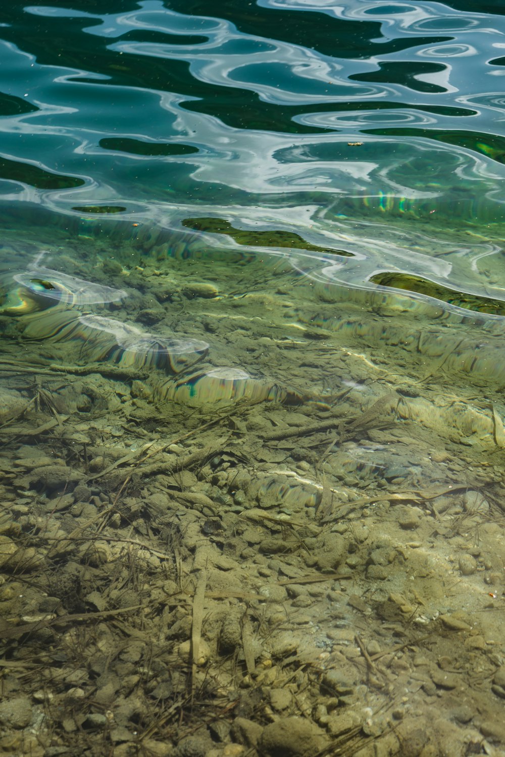 clear water with white sand