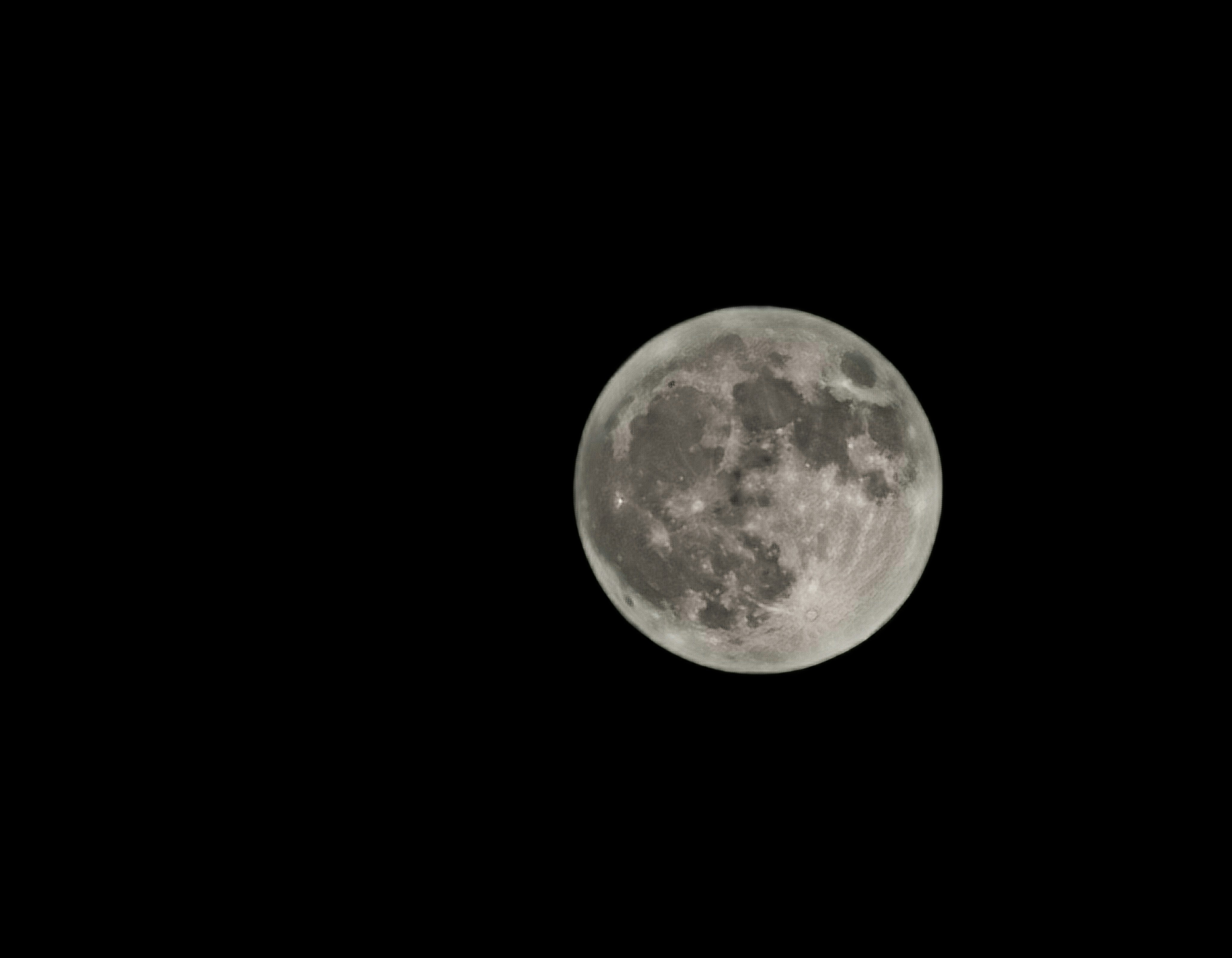 Photo by marko_kunac