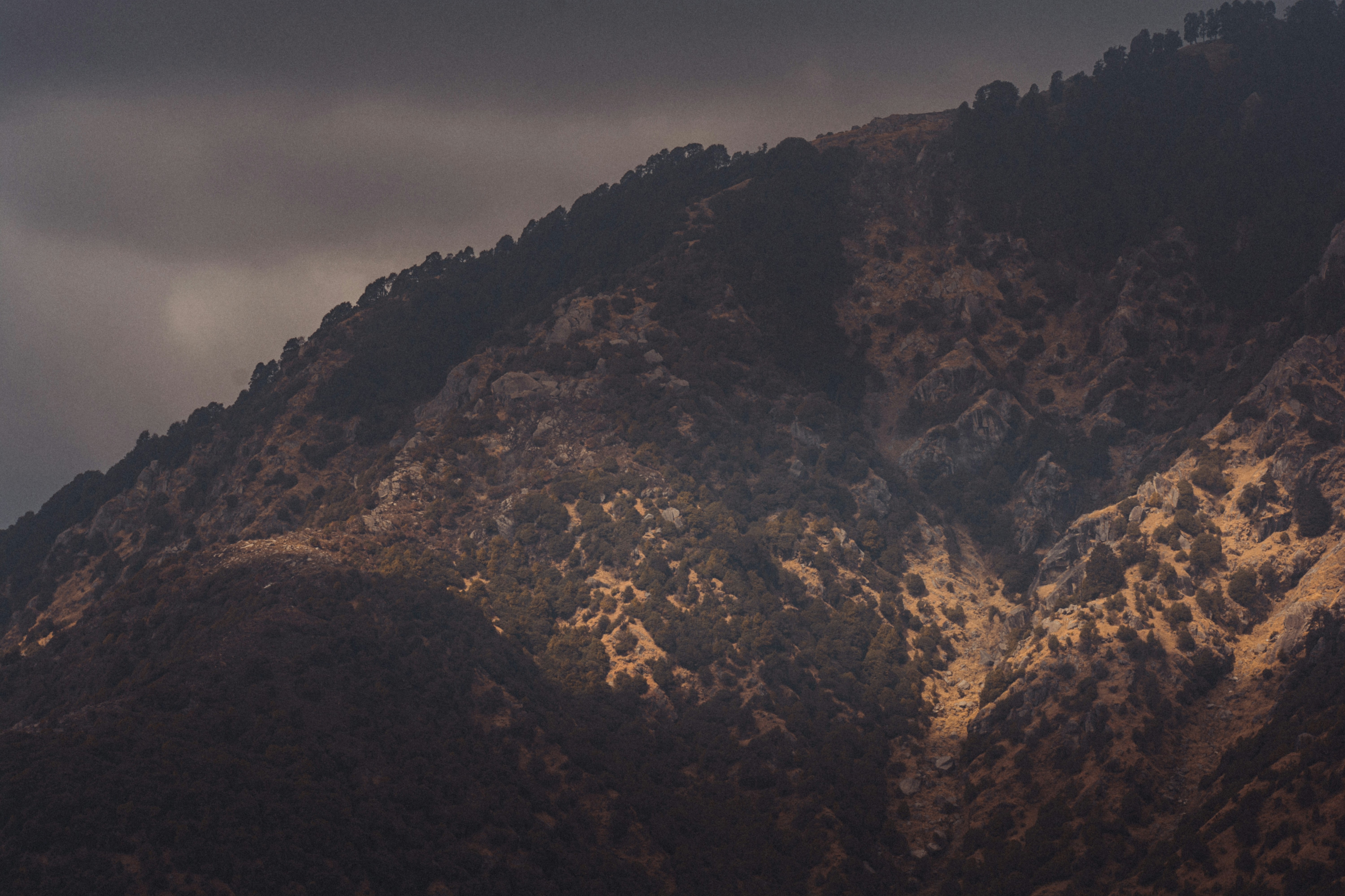 Photo by thefinalshot