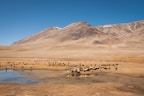 brown and white mountains under blue sky during daytime
