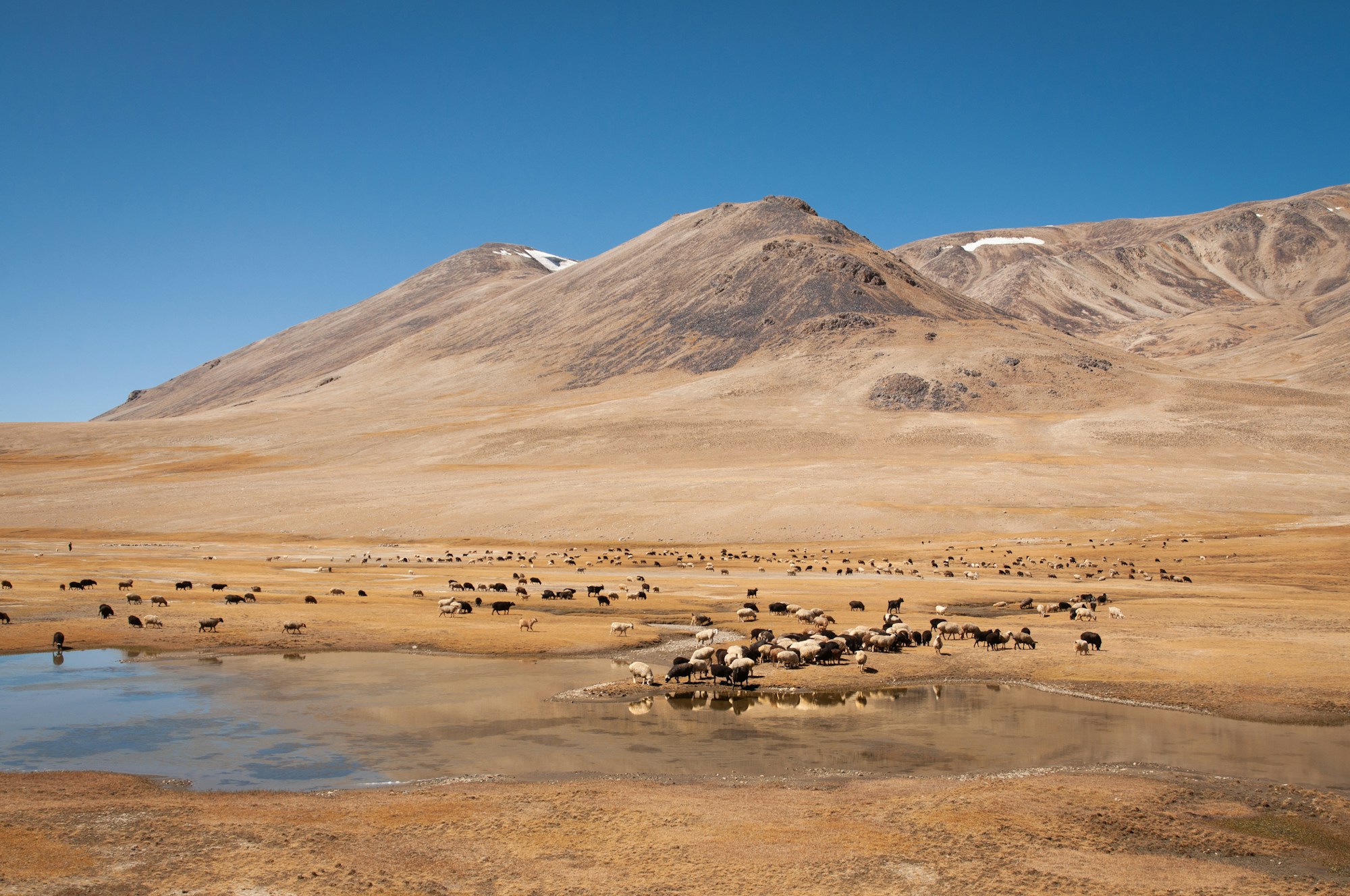 Exploring Tajikistan: Culture, Traditions & Festivals