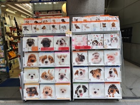 A display stand showcasing various 2020 calendars featuring different animal themes, primarily dogs, cats, and pigs. The calendars are organized in a grid format with clear images of adorable animal faces on their covers. This stand is located in front of a shop interior with bags and other merchandise visible.