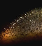 water droplets on glass panel