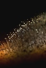 water droplets on glass panel