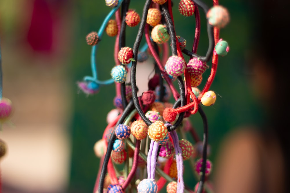 brown and white flower buds in tilt shift lens