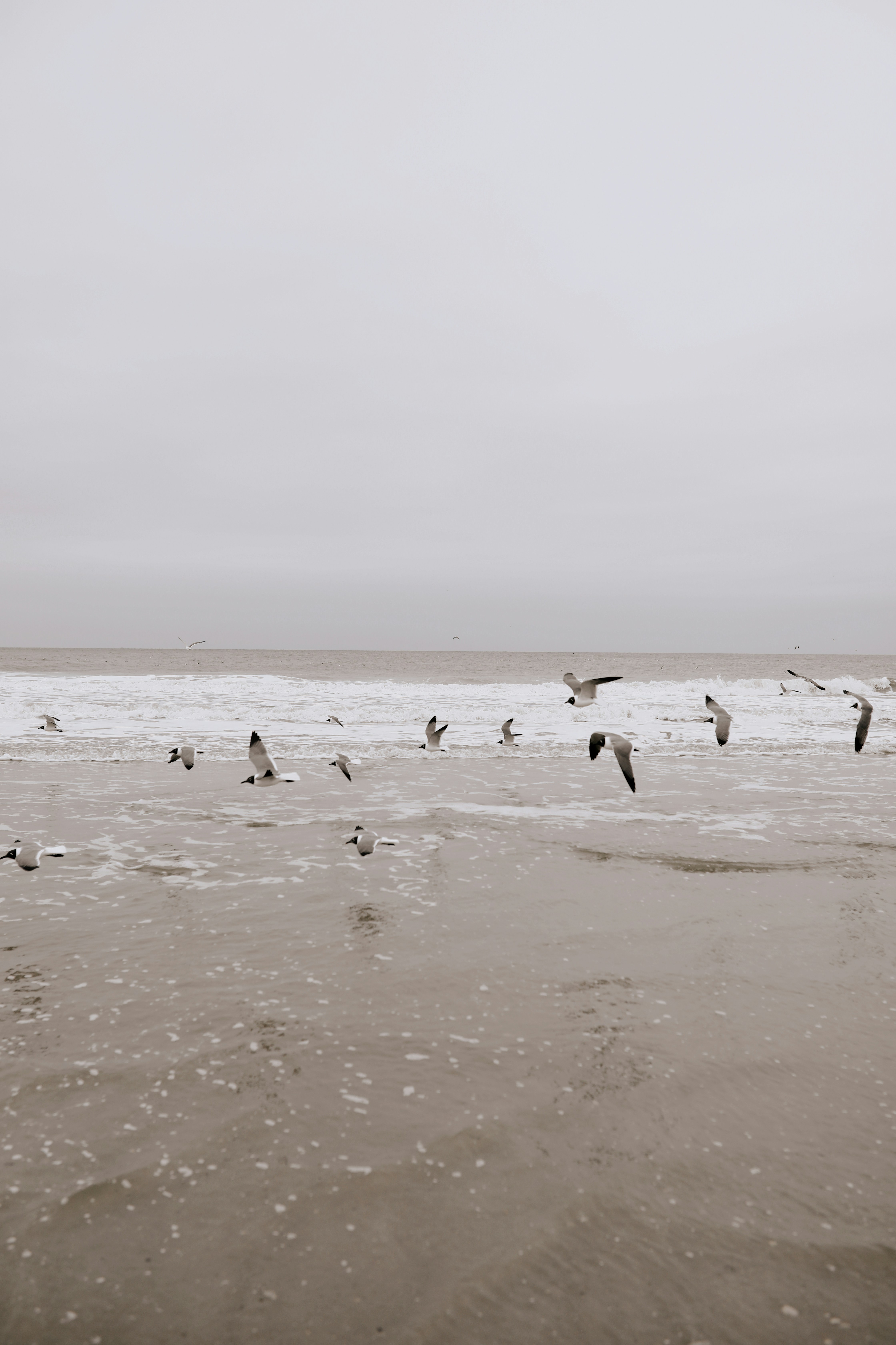 Photo by linaverovaya