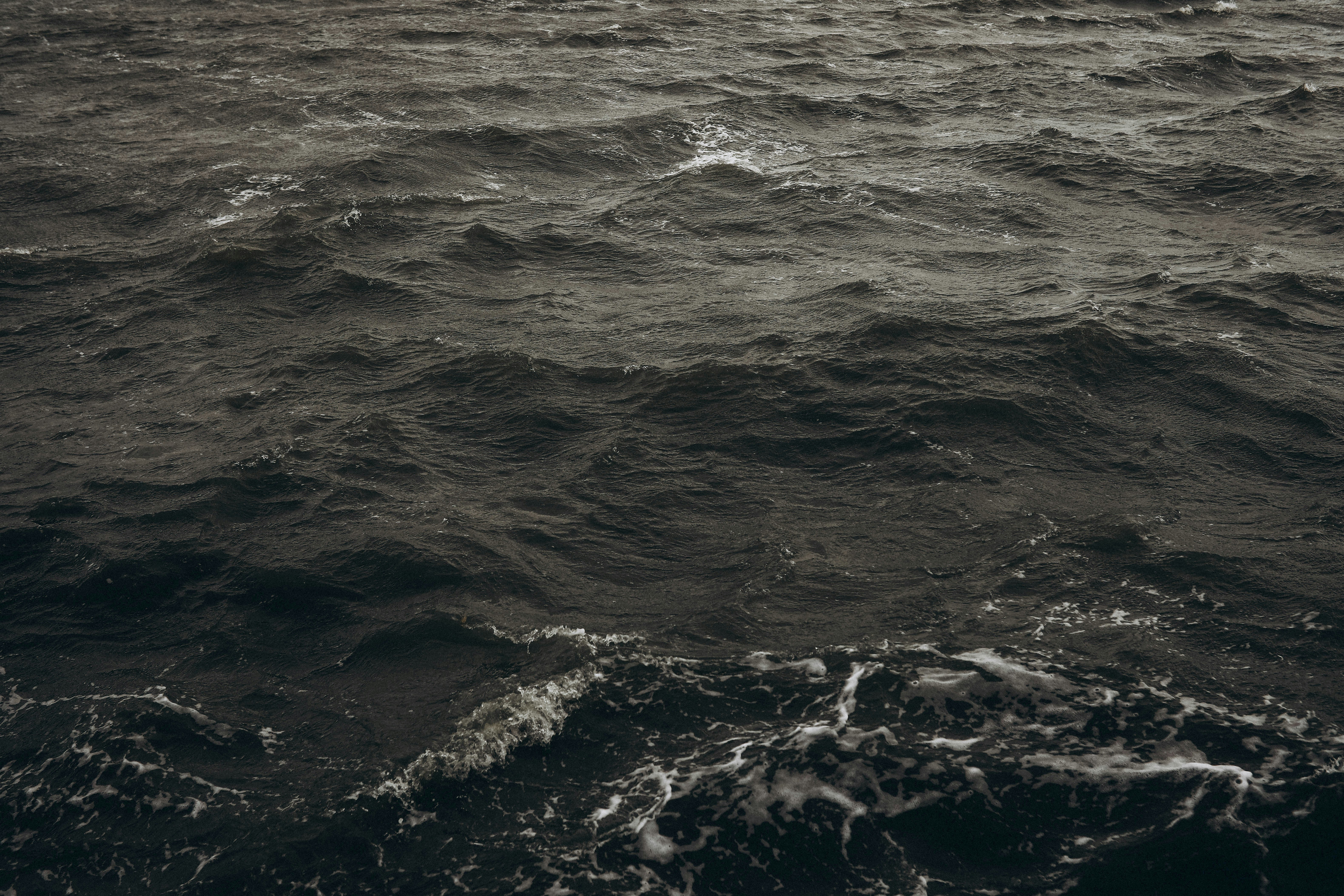 Photo by linaverovaya