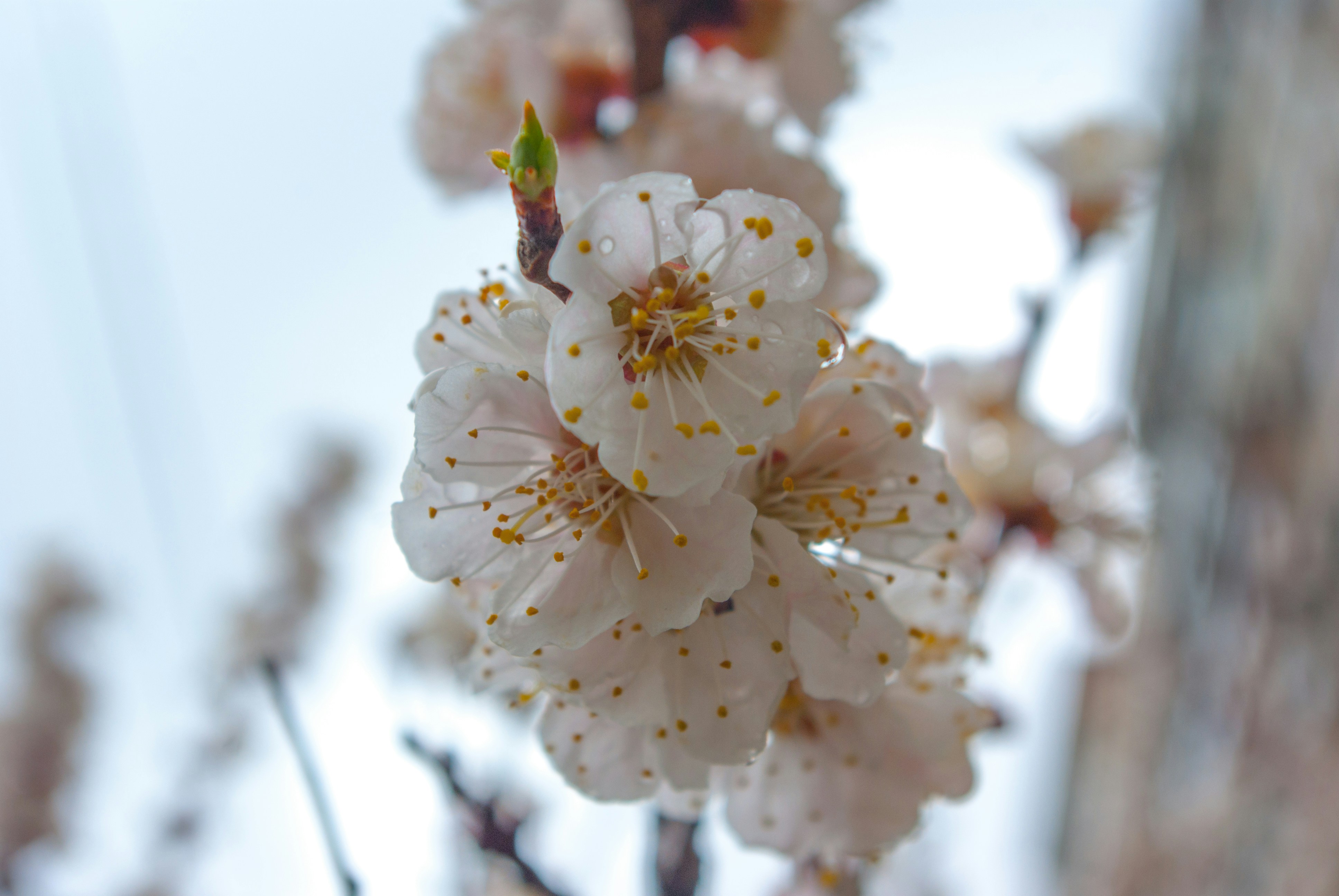 Photo by moonmoons_days