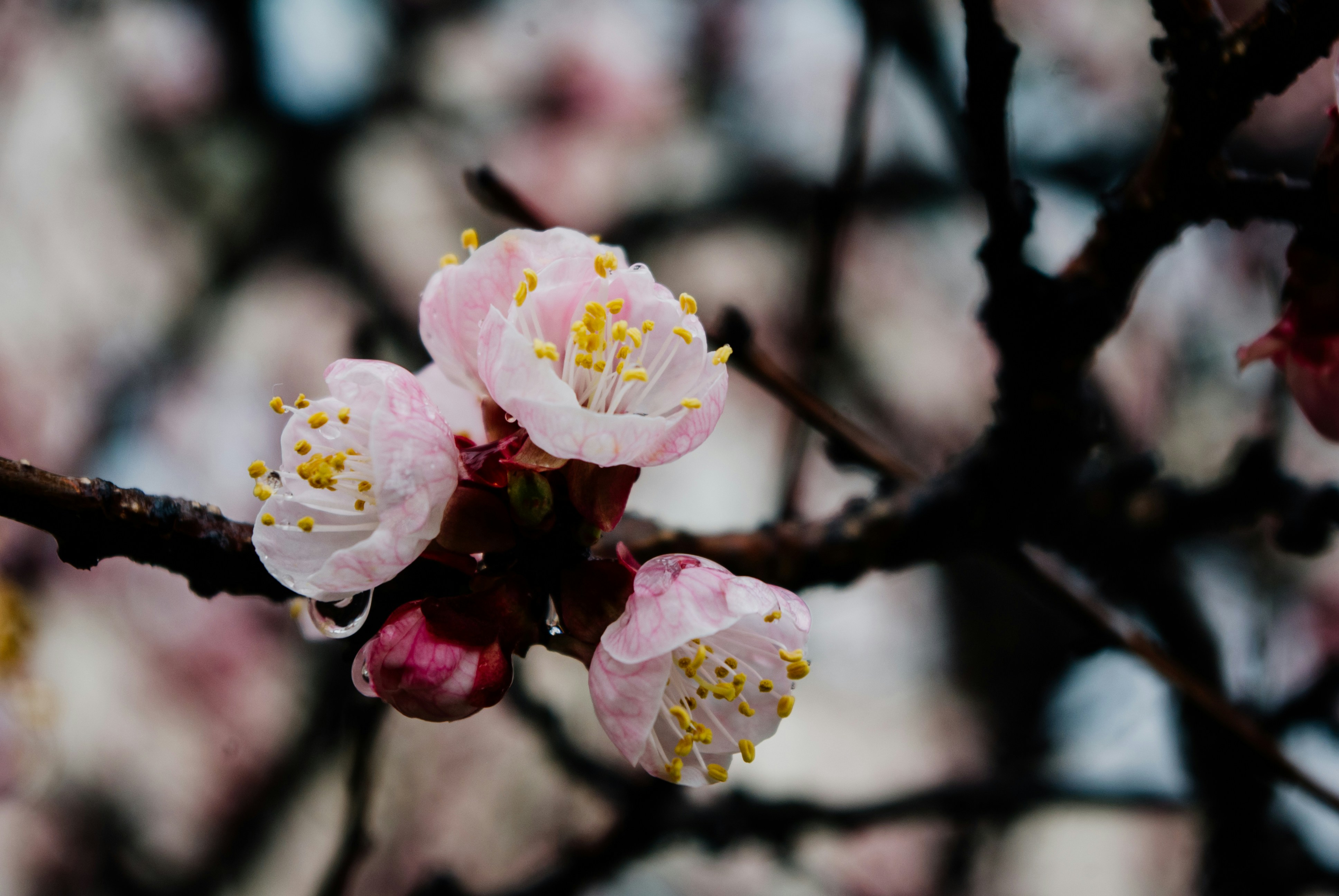 Photo by moonmoons_days