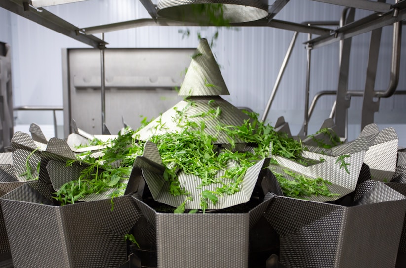 A modern food processing machine in action.