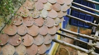 An overhead view of a tiled roof with rounded, weathered terracotta tiles. The top left corner has small green plants growing among the tiles. To the side, wooden beams are visible, tied together with rope. Below, part of a patio with a blue door and wooden flooring can be seen.