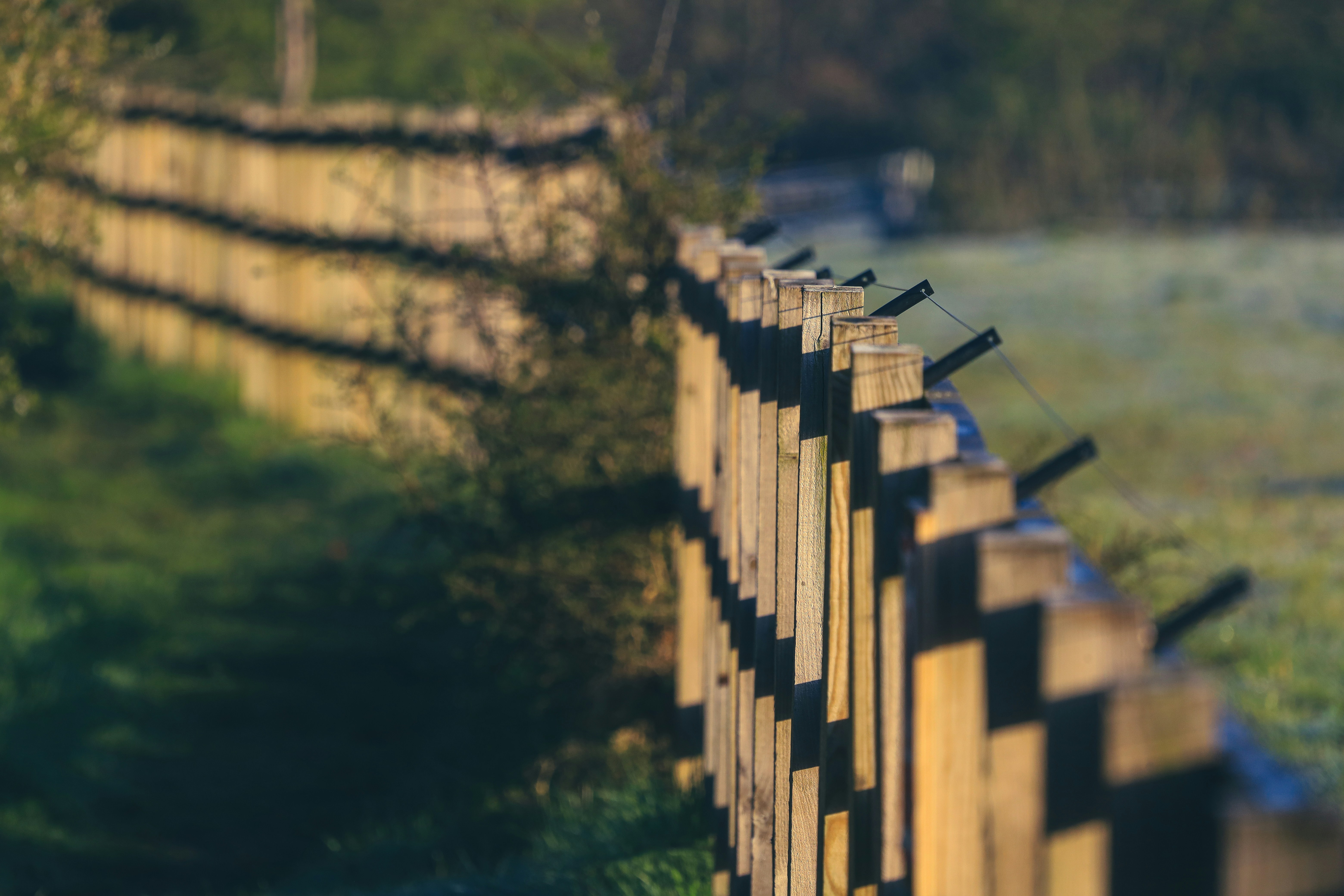 brown wooden fence near green trees during daytime