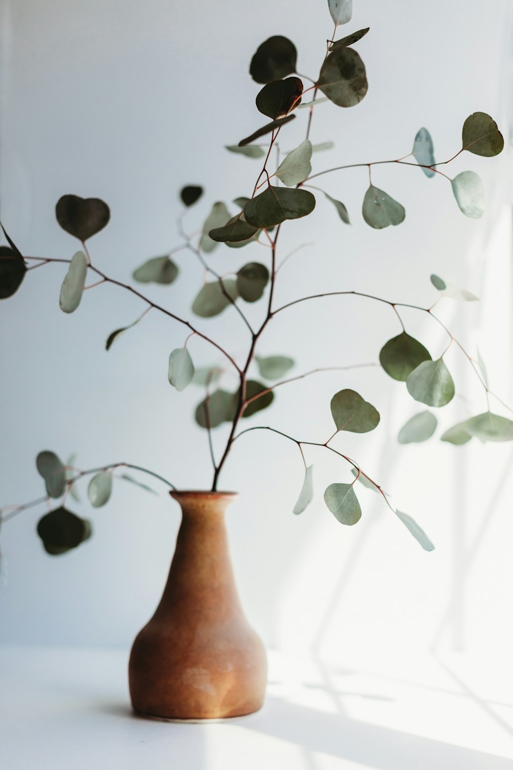 茶色の陶器の花瓶に緑の植物