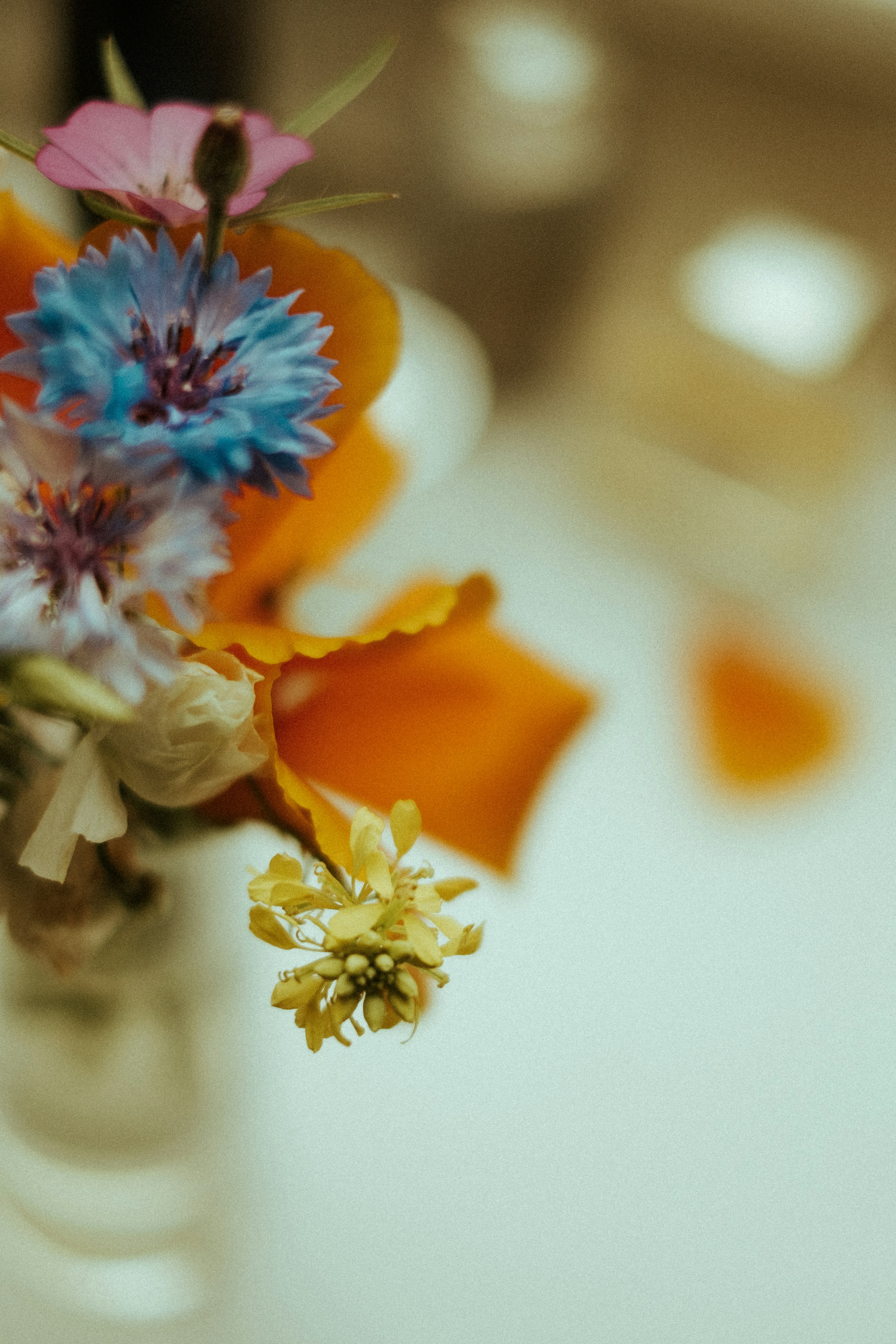 Photo by olgaserjantu