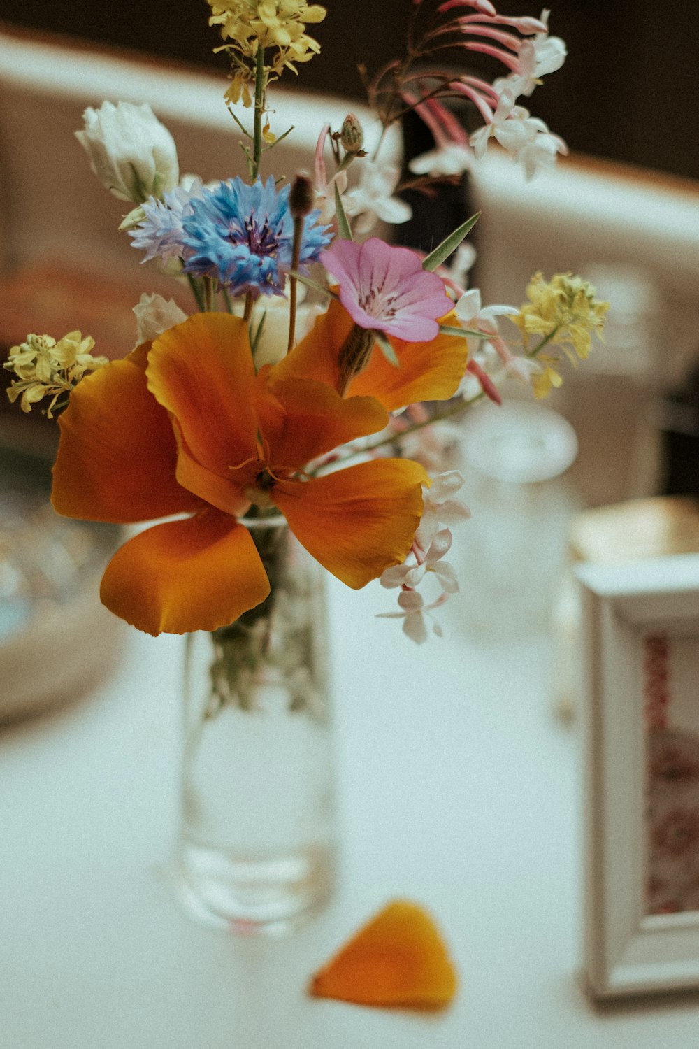 orange and purple flowers on white wooden table