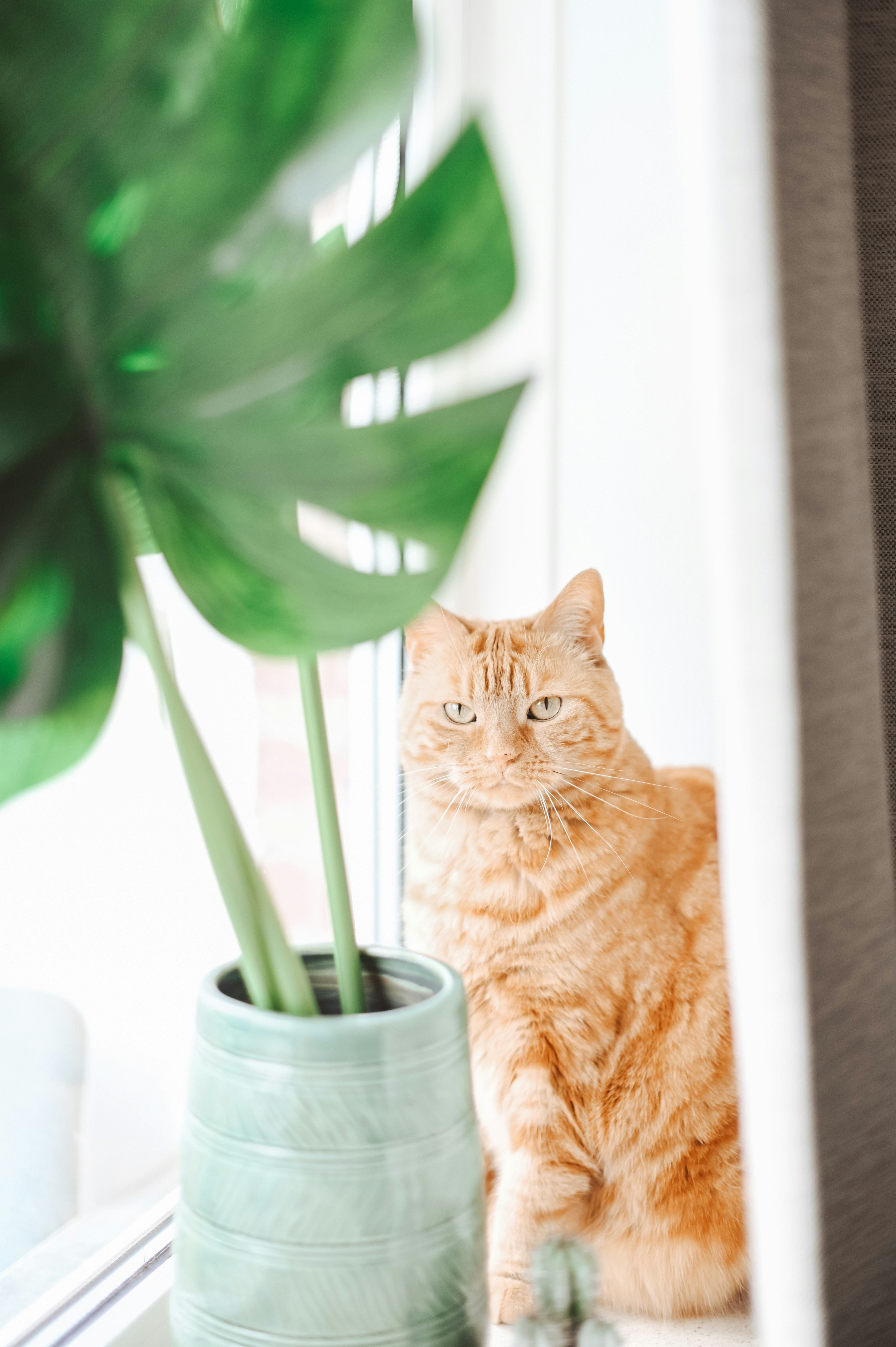 Photo by gaellemarcel