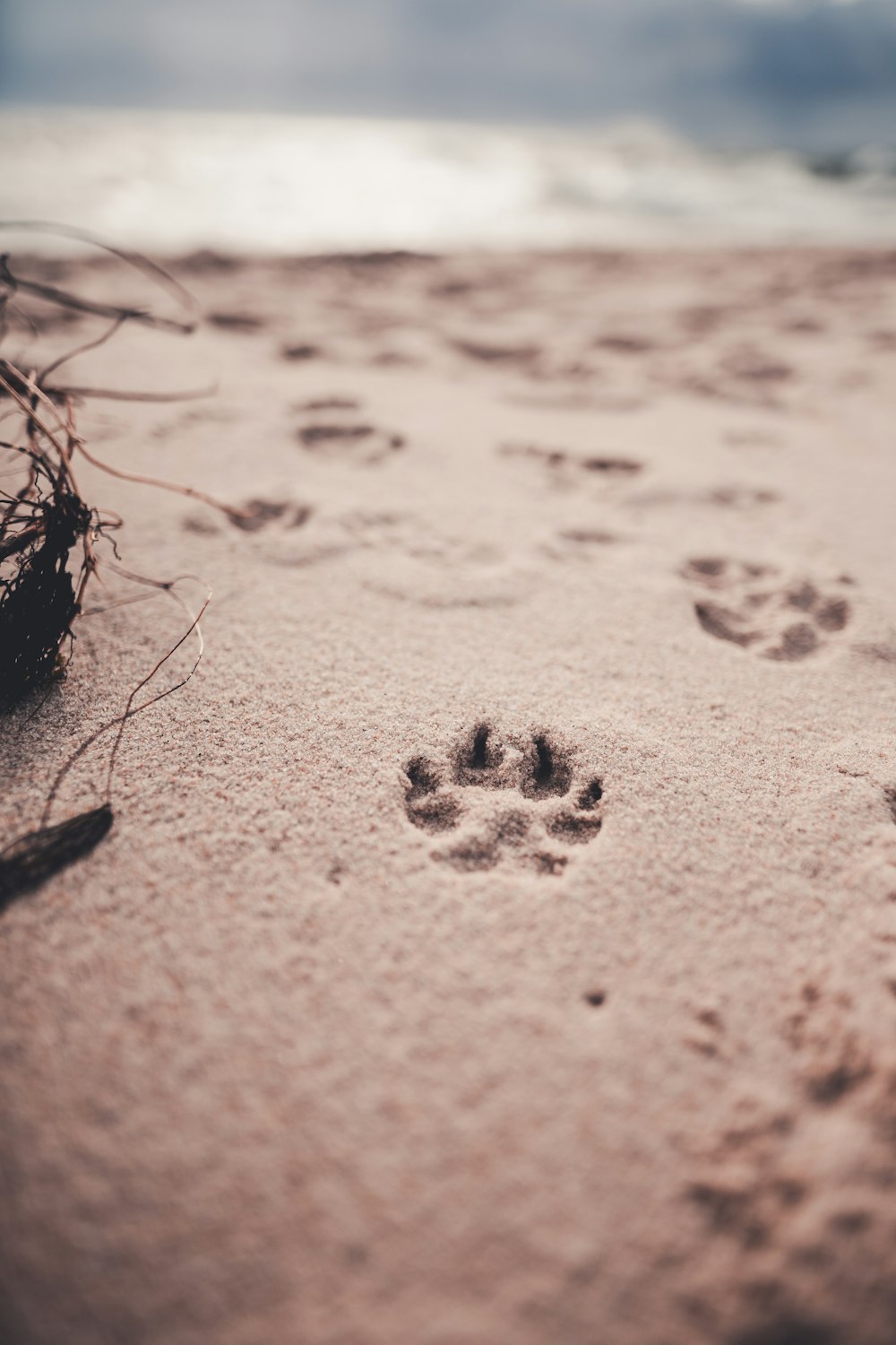 brown sand with black and white stones