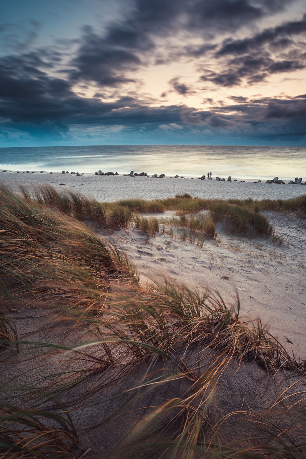 brown grass on gray sand near body of water during daytime