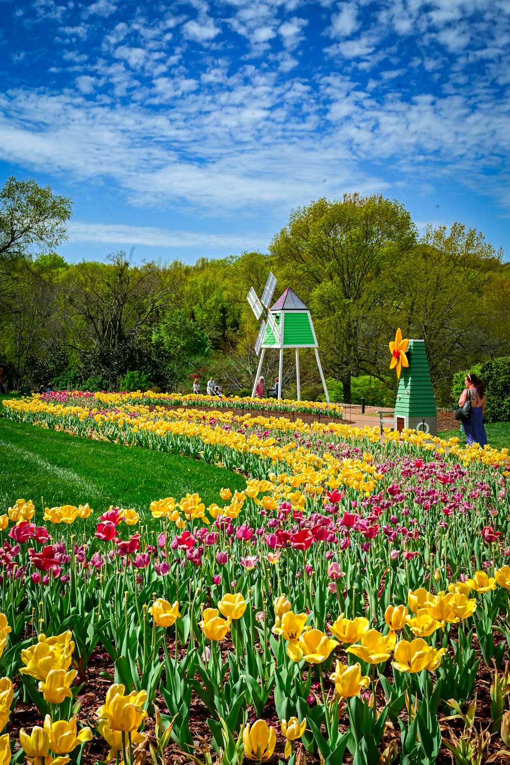 people walking on flower field during daytime