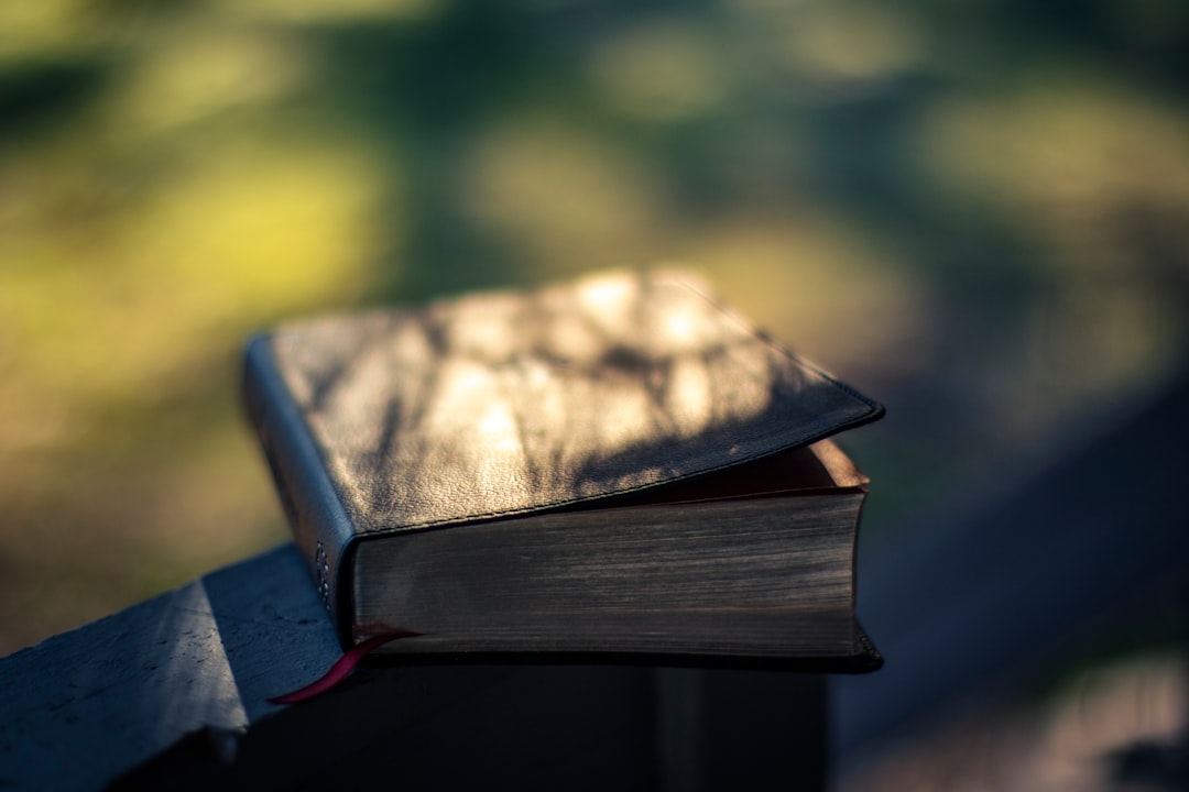 brown and white book on red and black chair