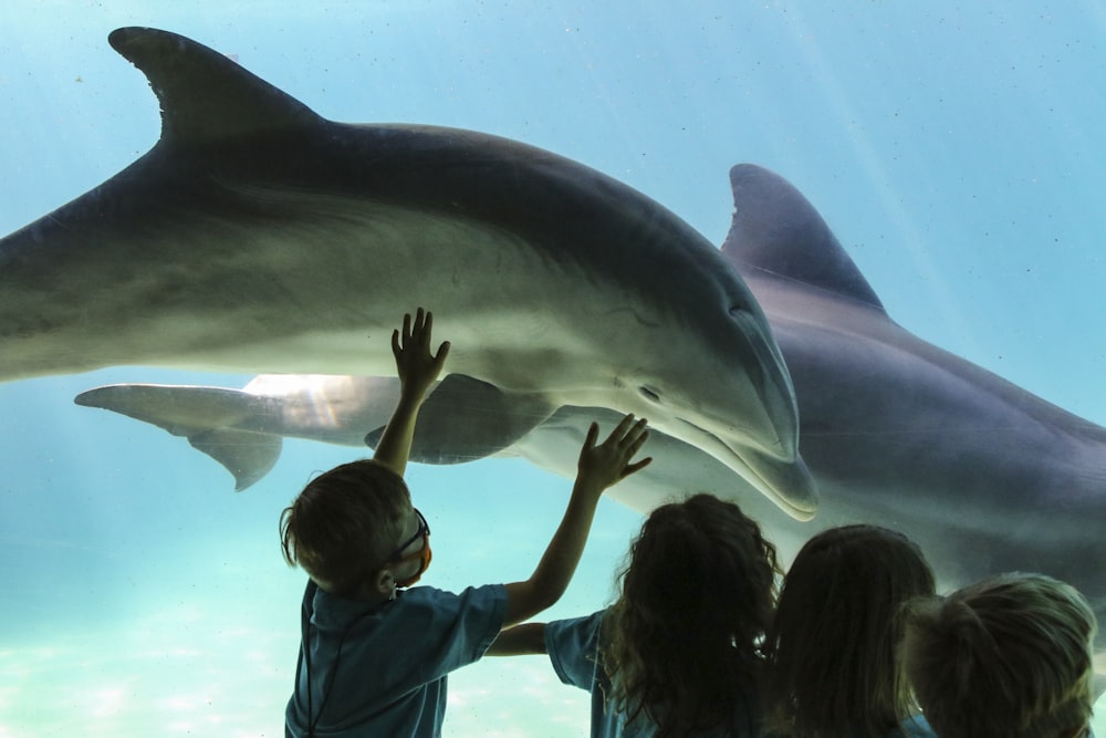 man in green shirt standing beside gray shark