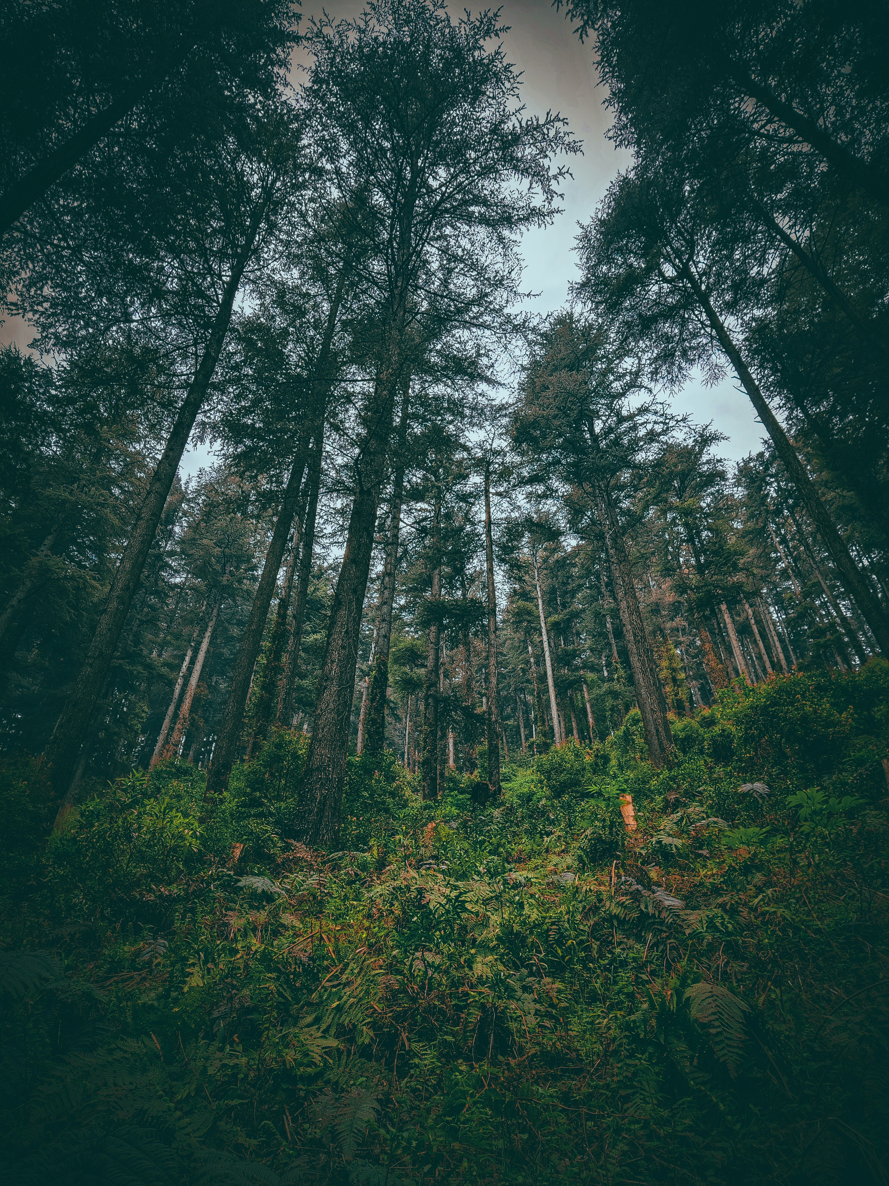 Photo by utkarxhrathore