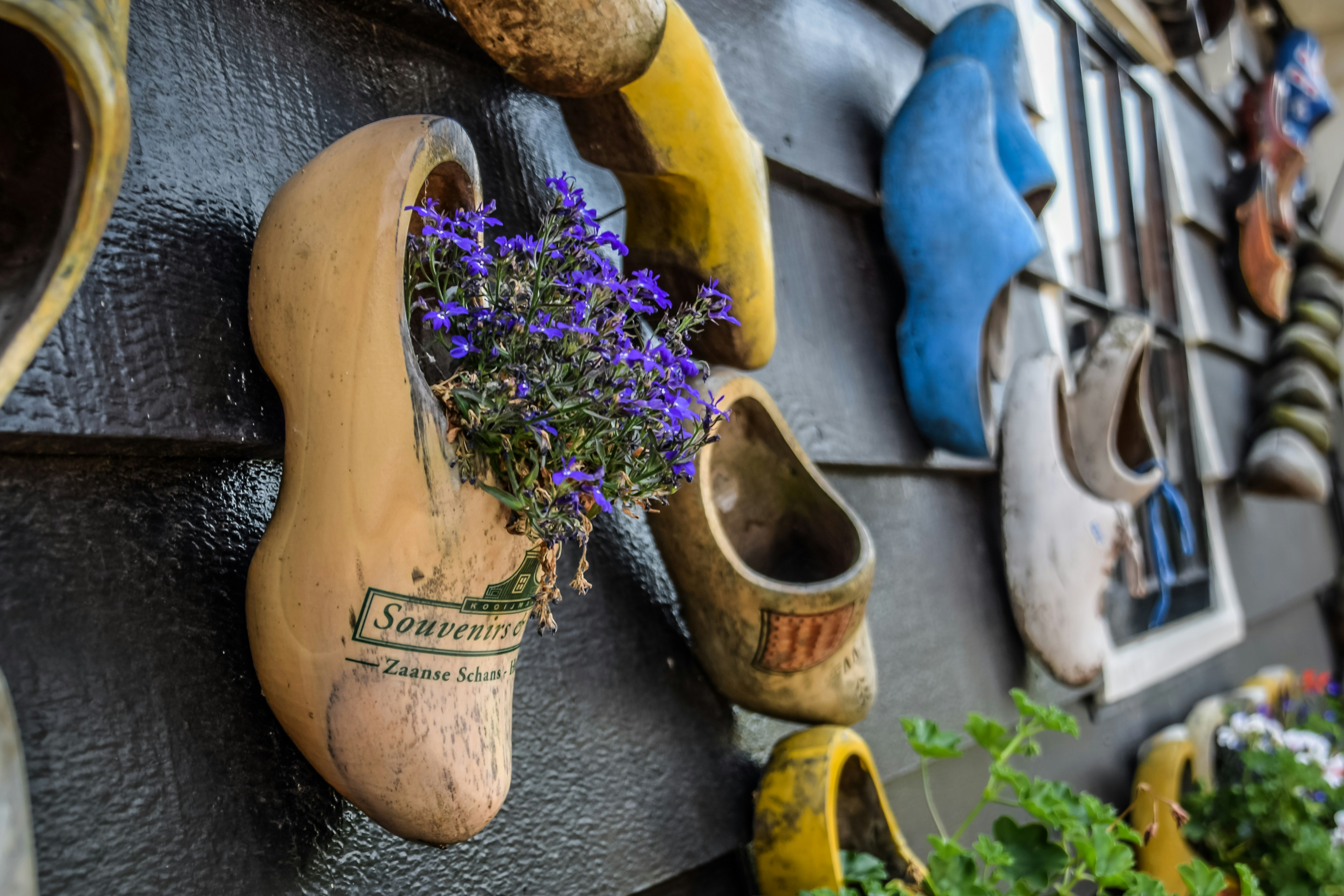 Download Clogs Pictures Download Free Images On Unsplash