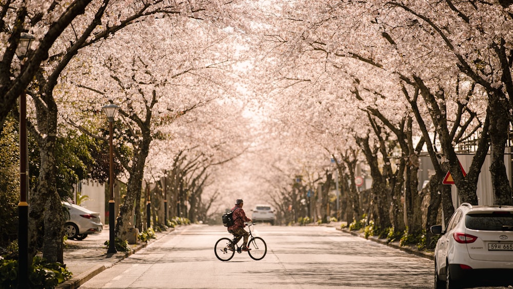 a person riding a bike down a tree lined street