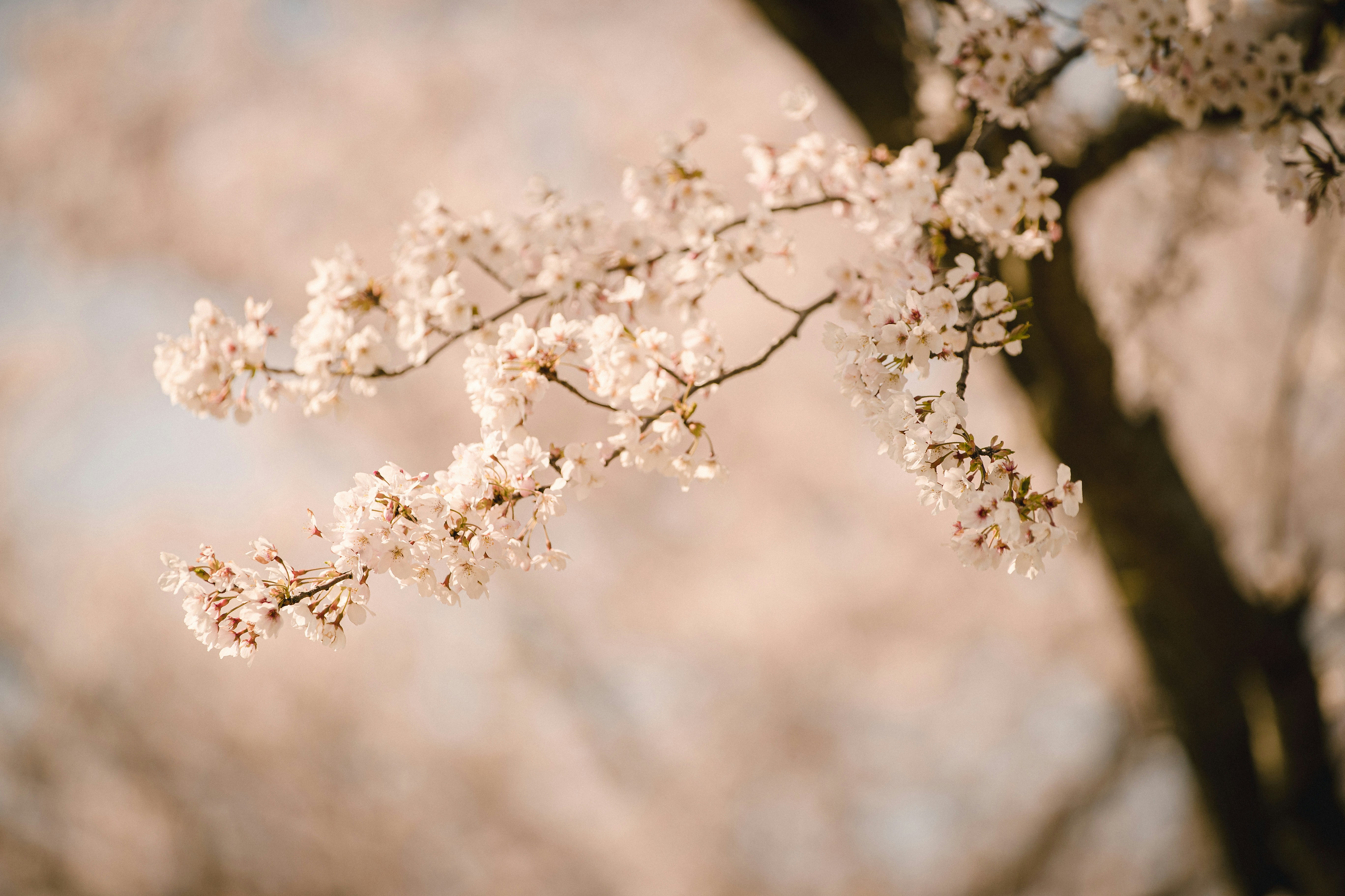 Photo by lowhillfoto