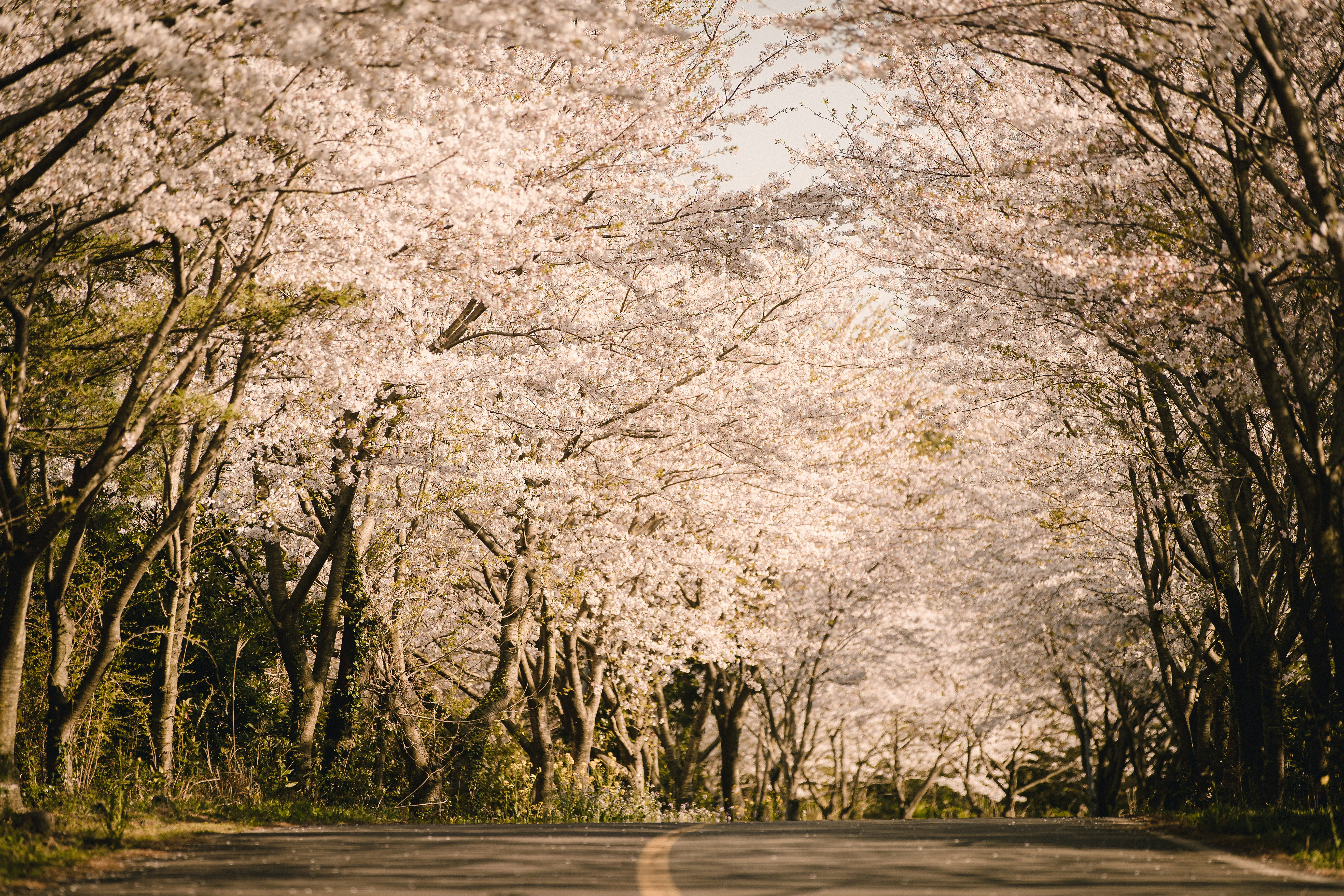 Photo by lowhillfoto