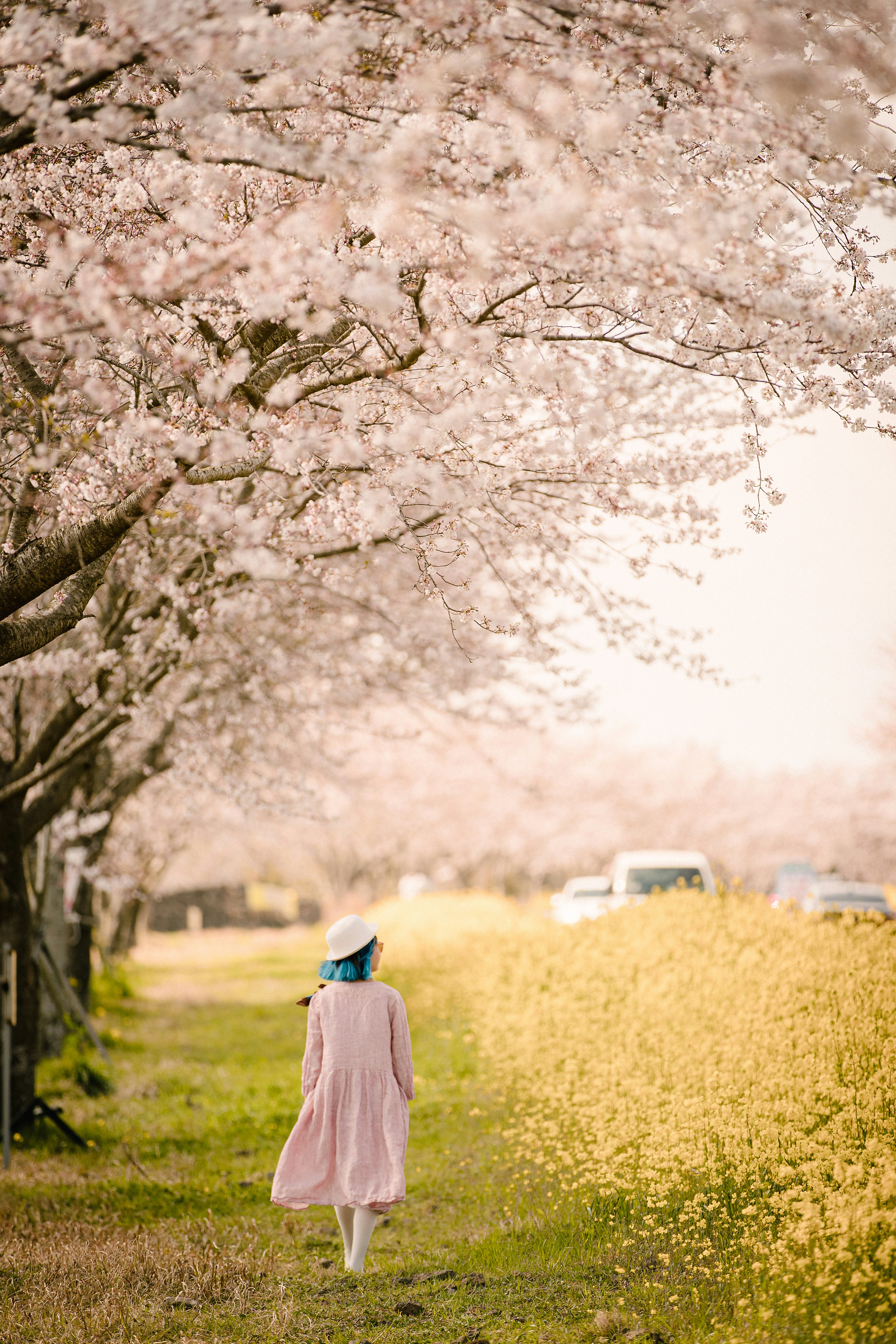 Photo by lowhillfoto