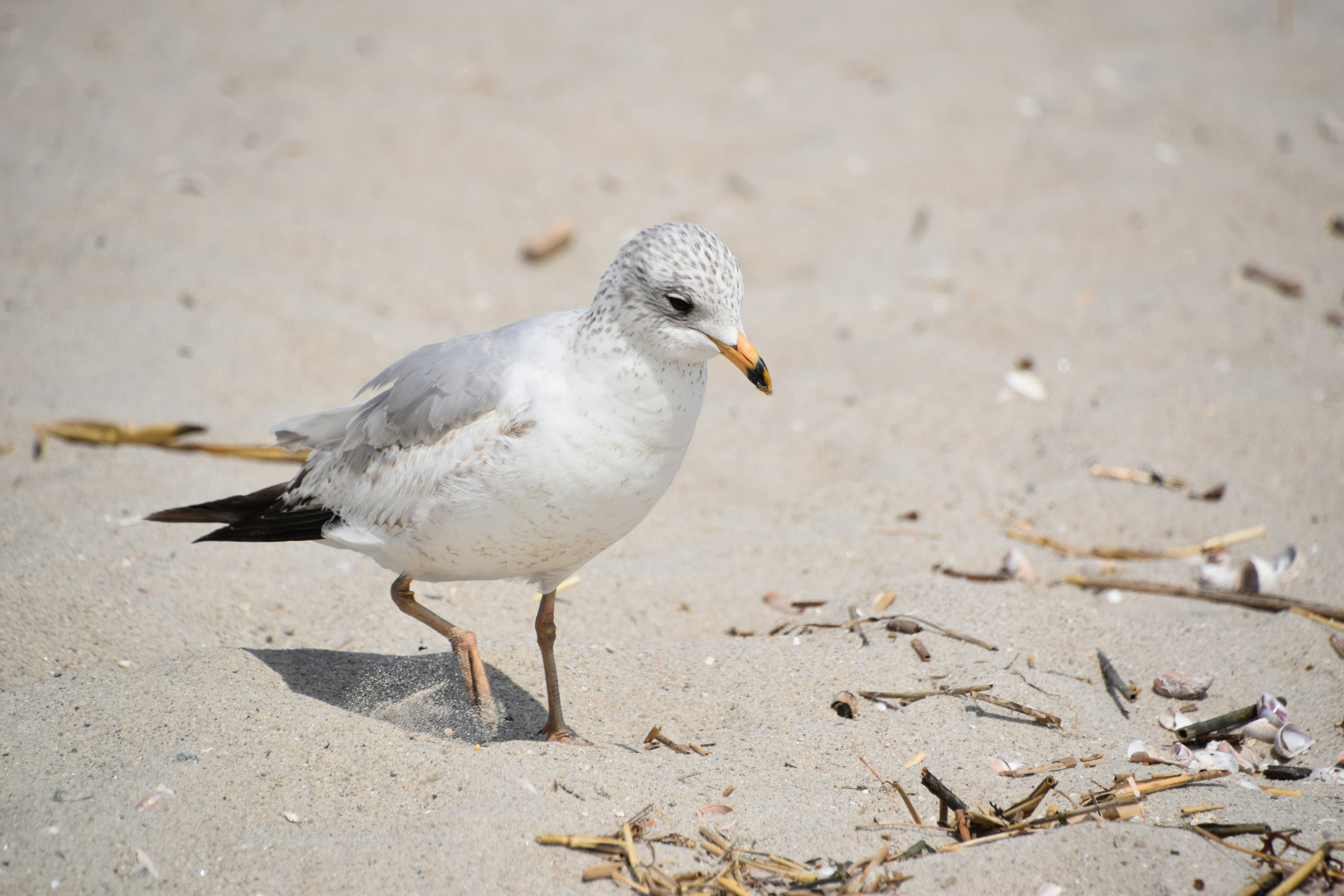 Photo by cindie_photographer