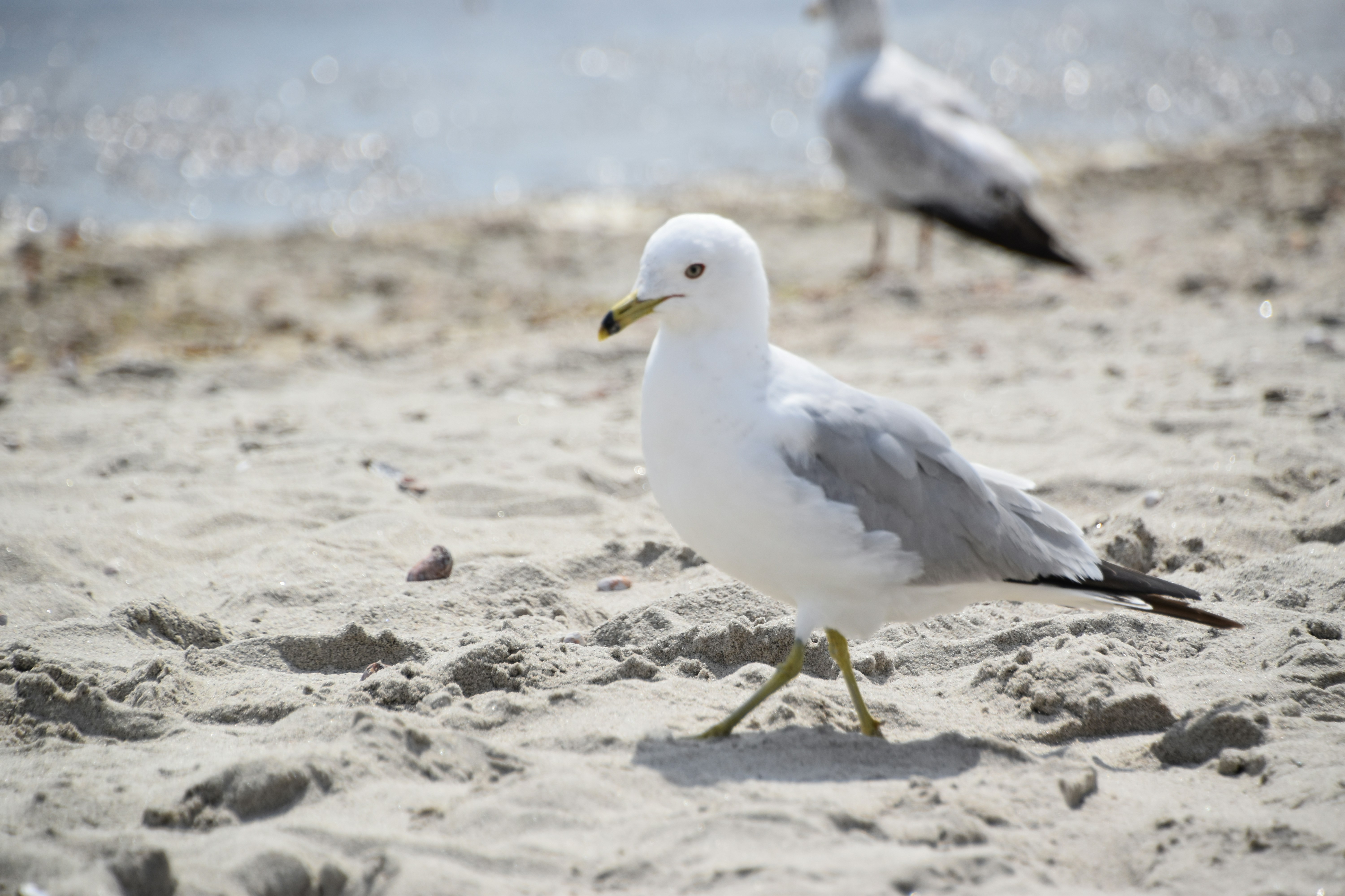 Photo by cindie_photographer