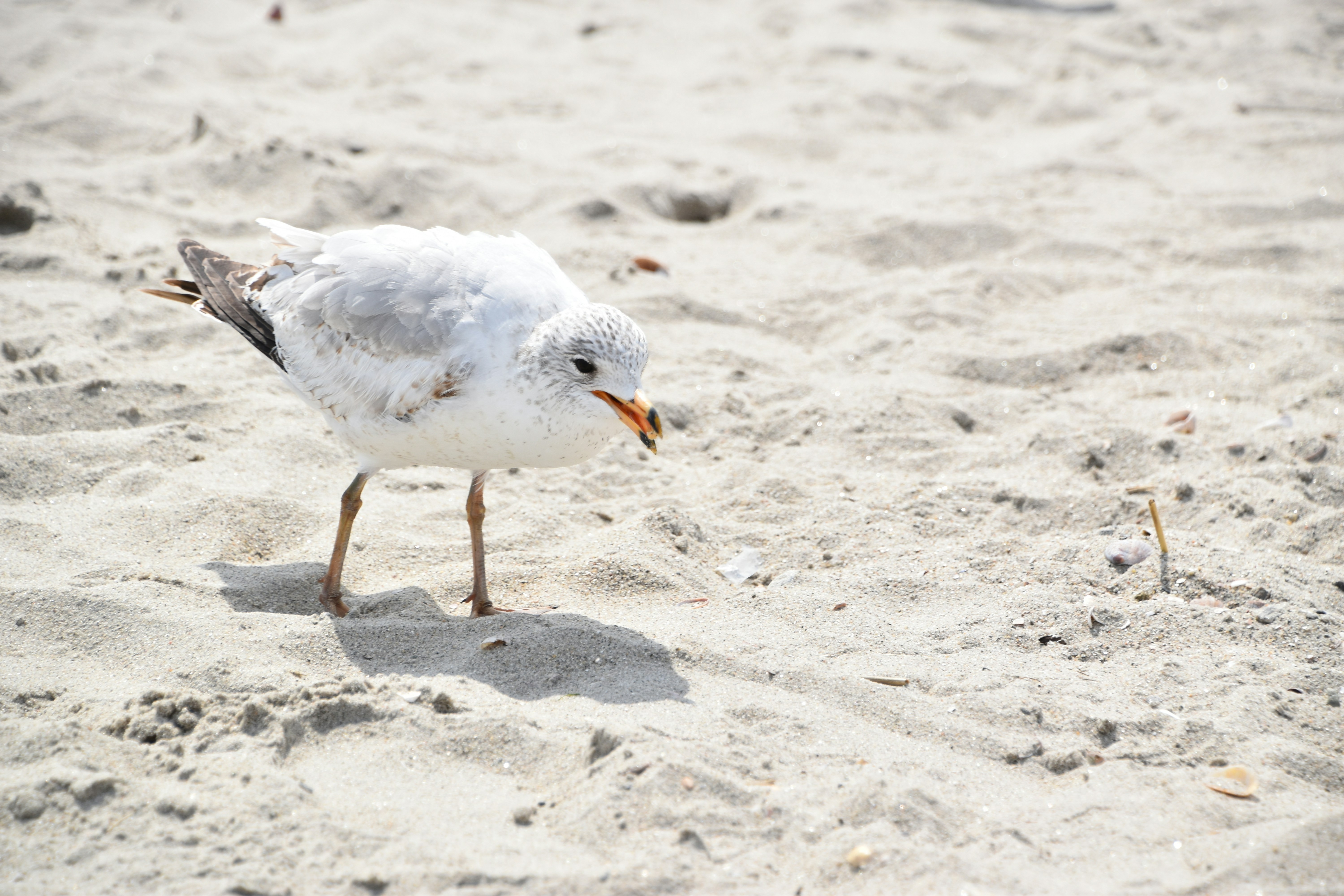 Photo by cindie_photographer