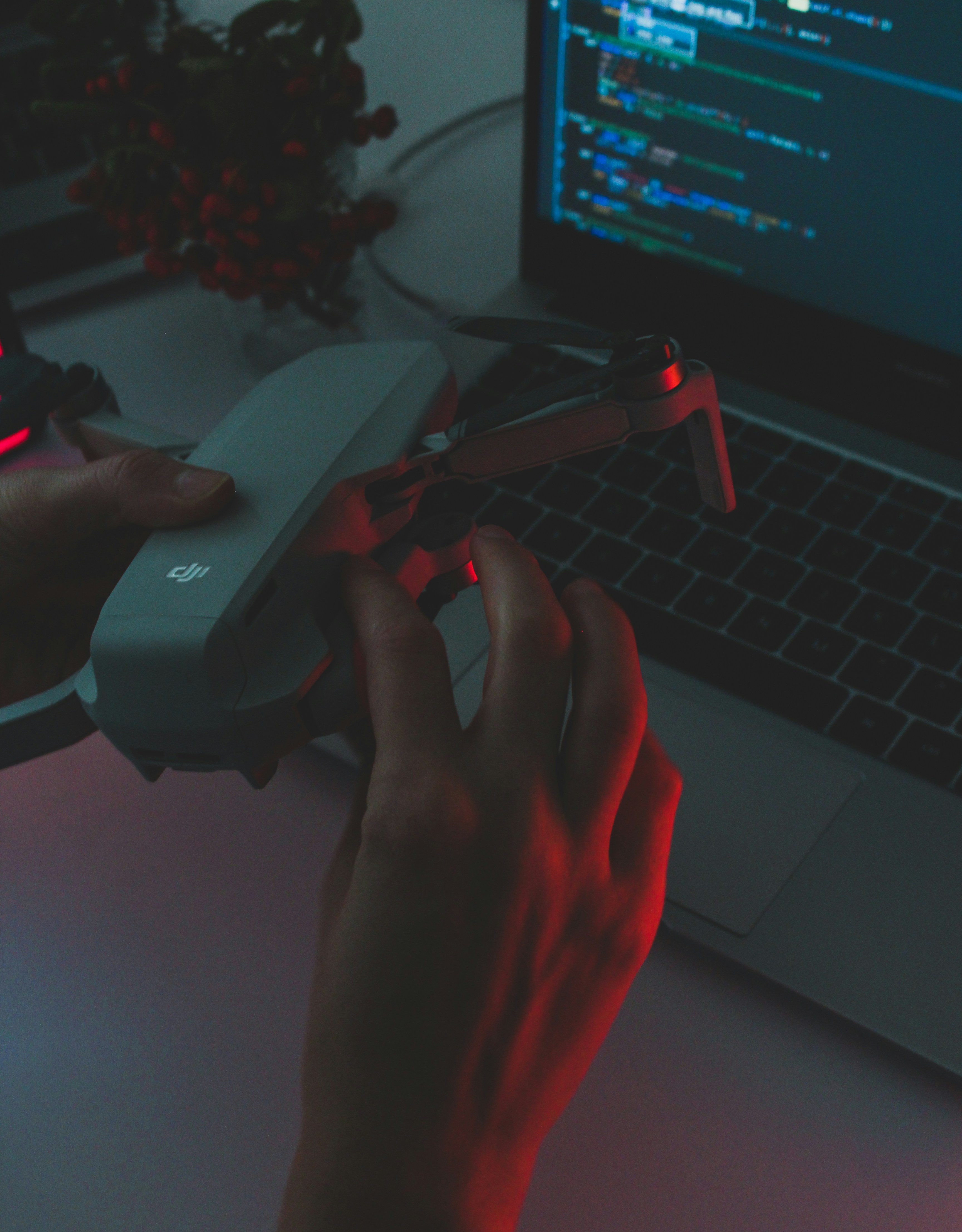 Photo by czapp_arpad