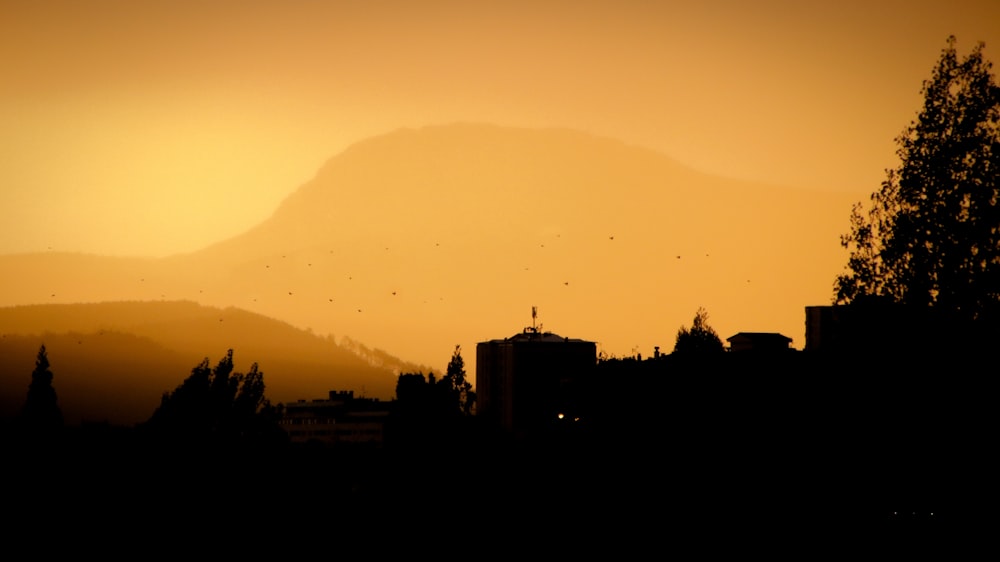 silhouette of building during sunset