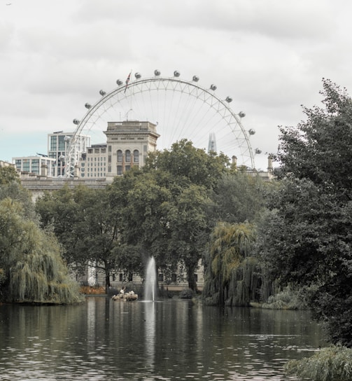 white ferris wheel near body of water during daytime