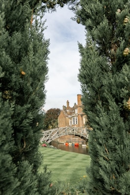 A charming old Dutch bridge over a calm river surrounded by lush greenery.