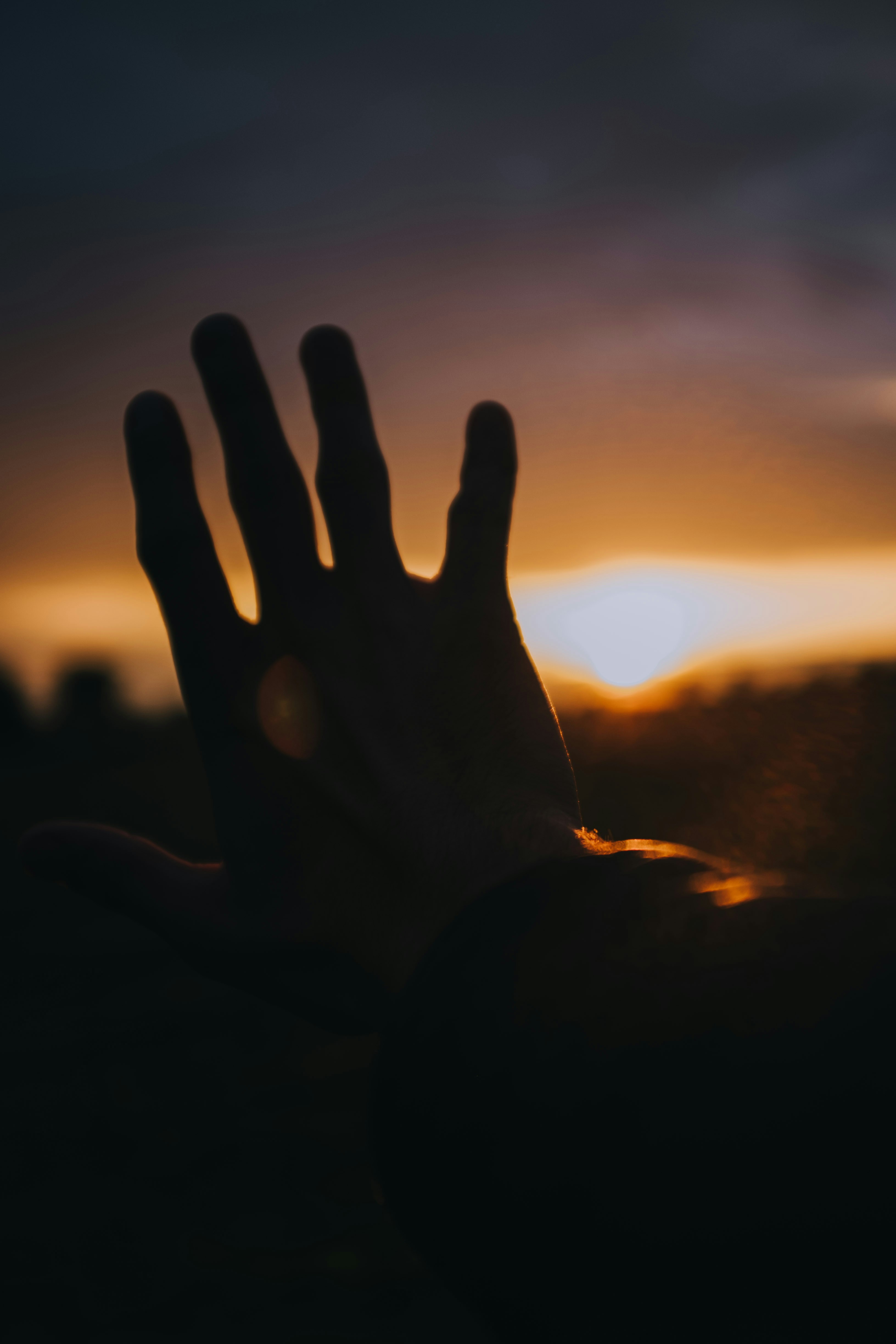 Photo by filipp_roman_photography