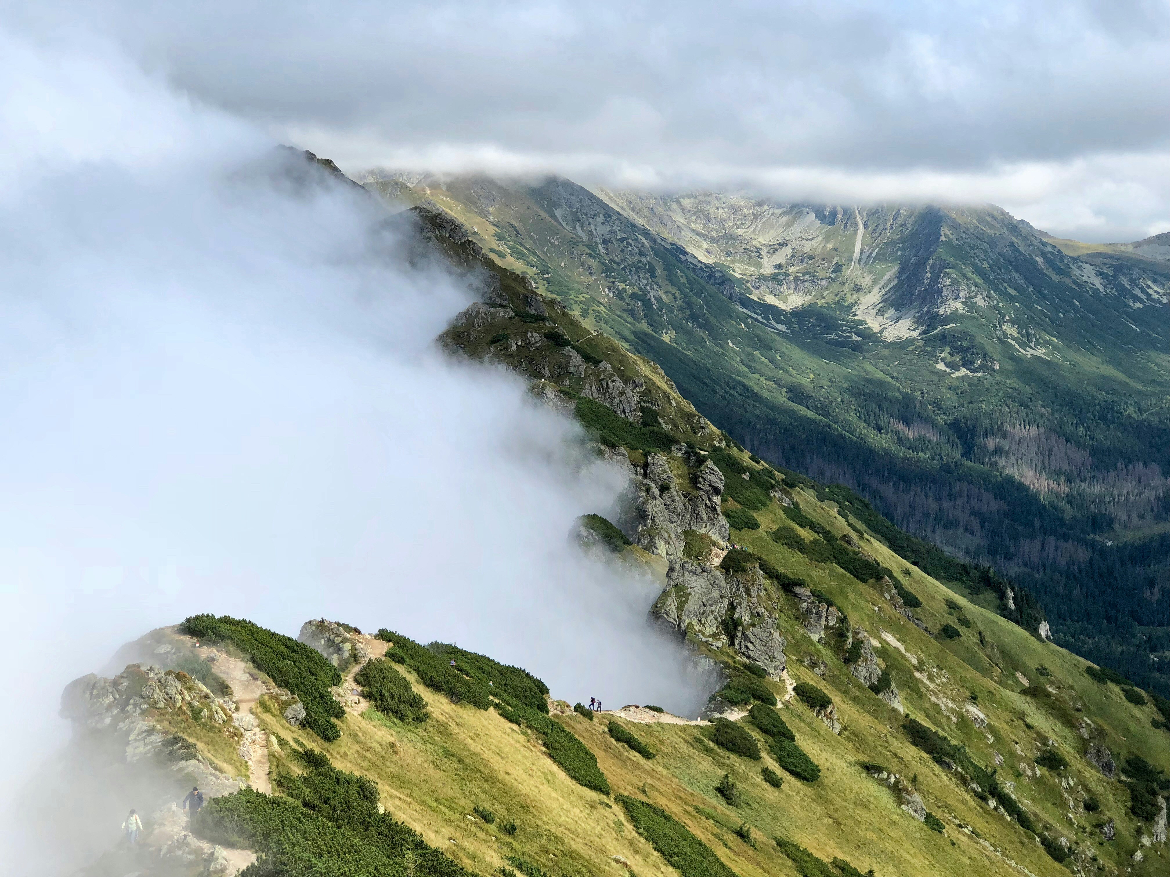 Photo by maksym_harbar